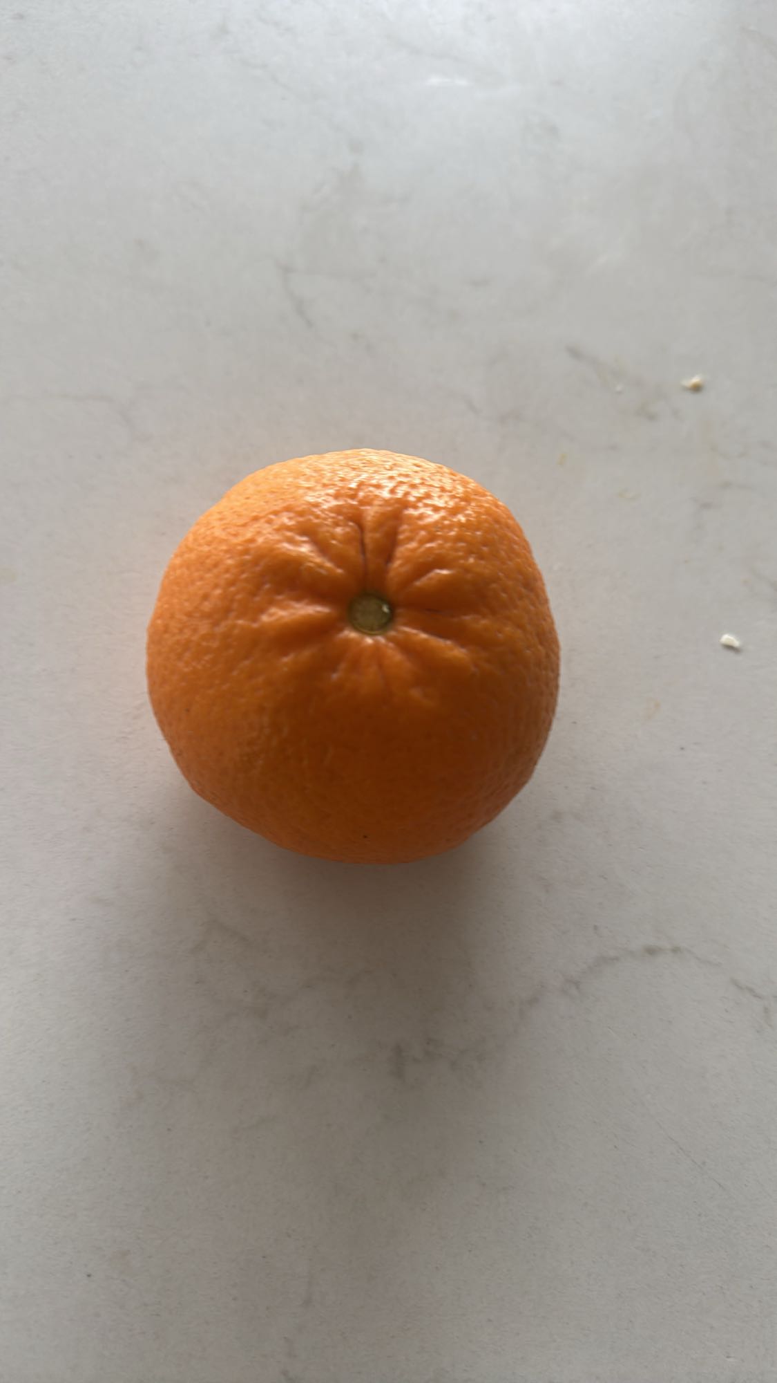 Mandarin Orange