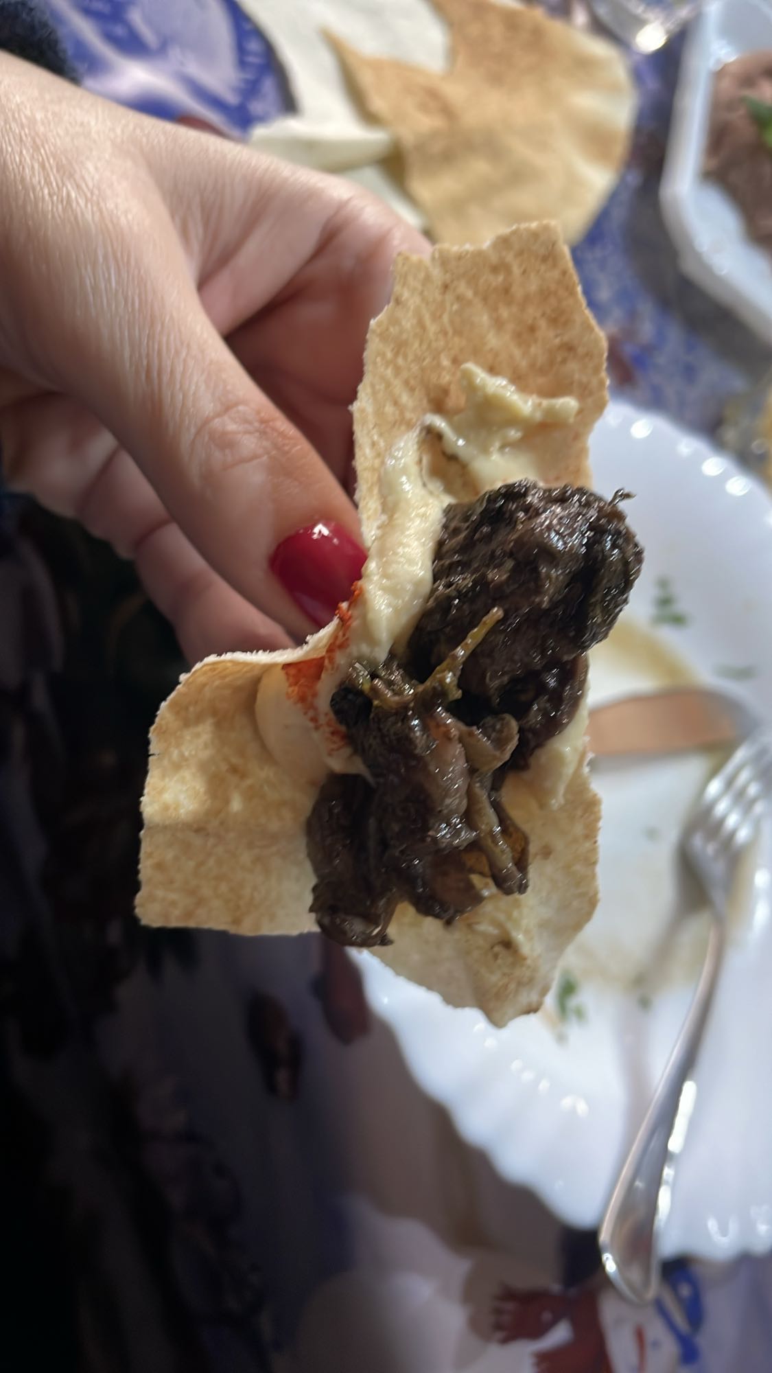 Beef wrap with hummus
