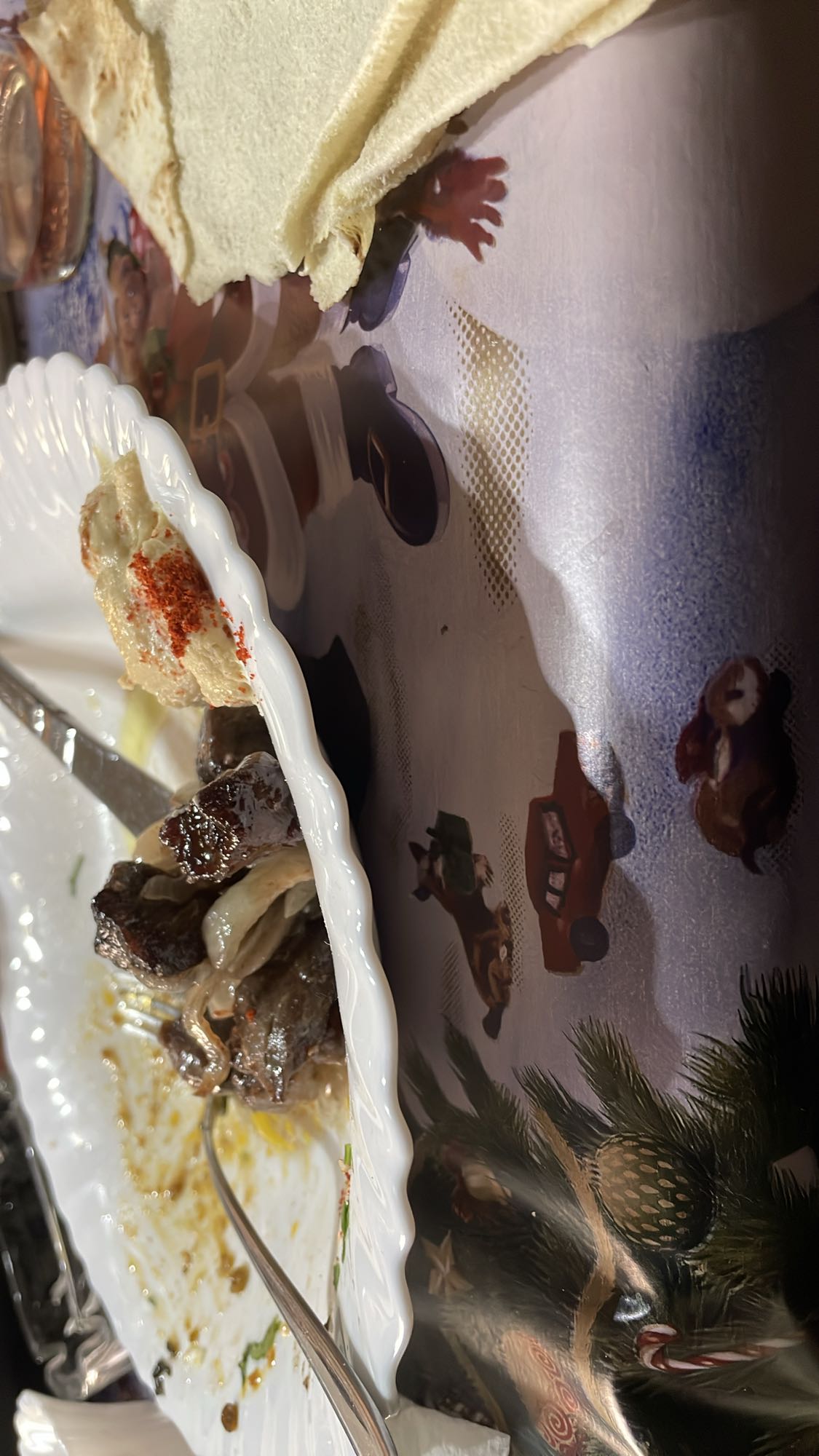 Grilled beef with bread & hummus