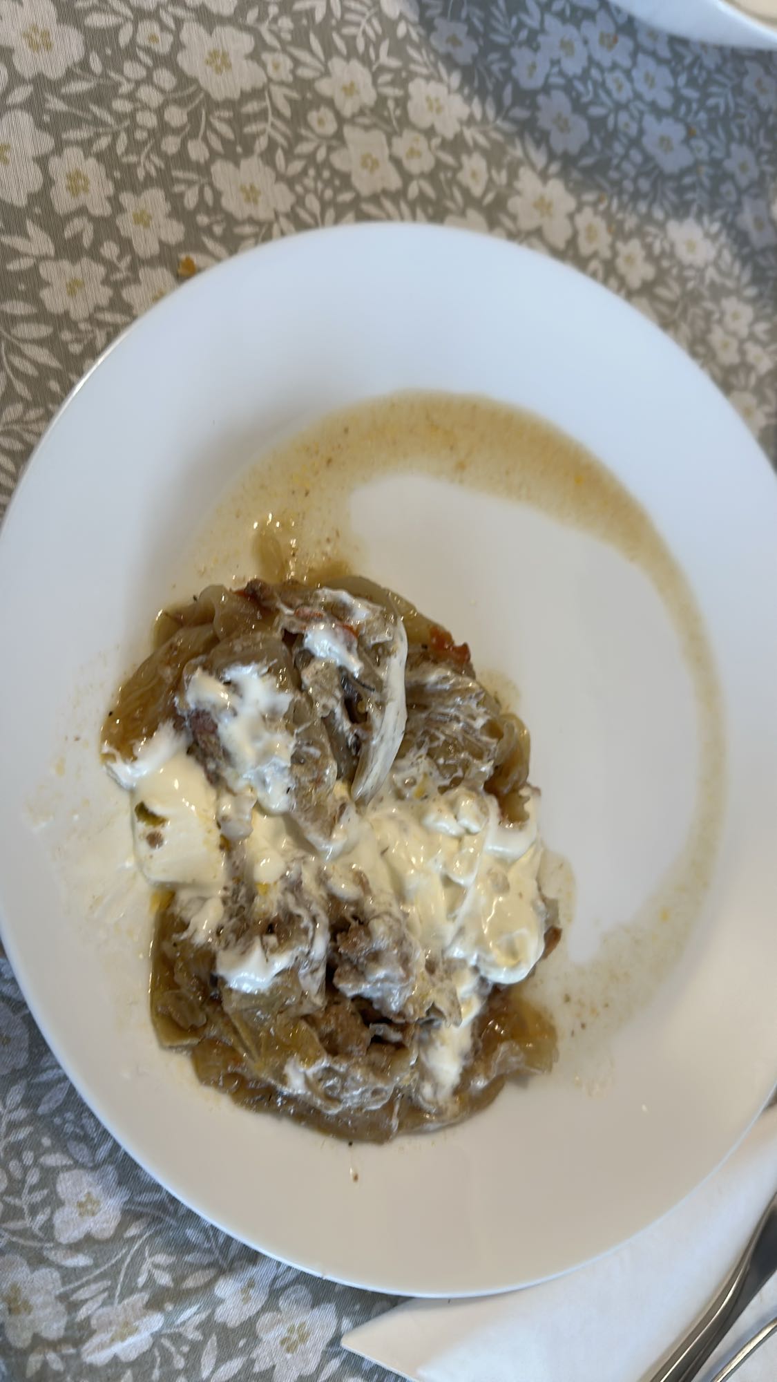 Beef with onions & yogurt