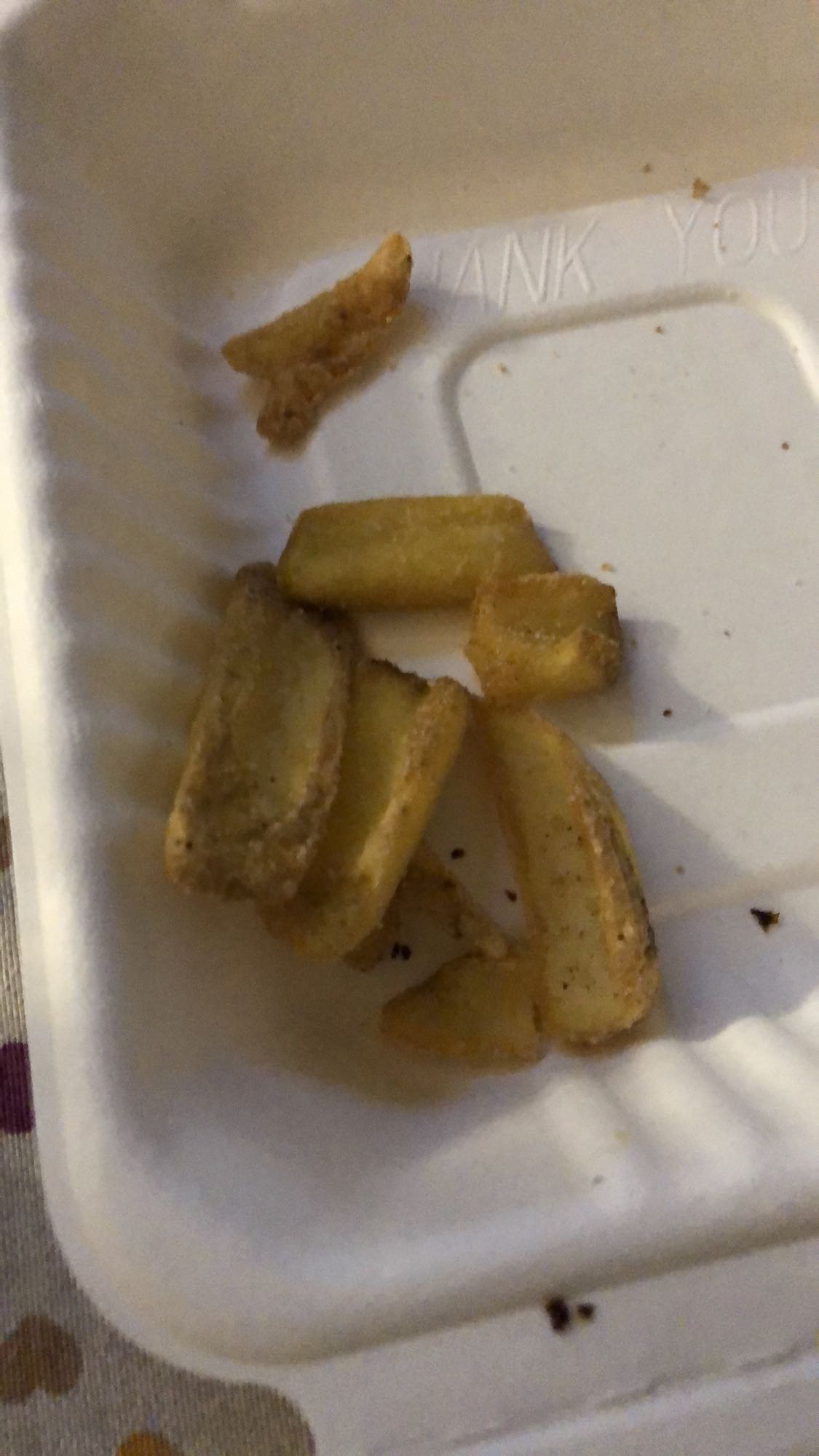 Leftover Fries