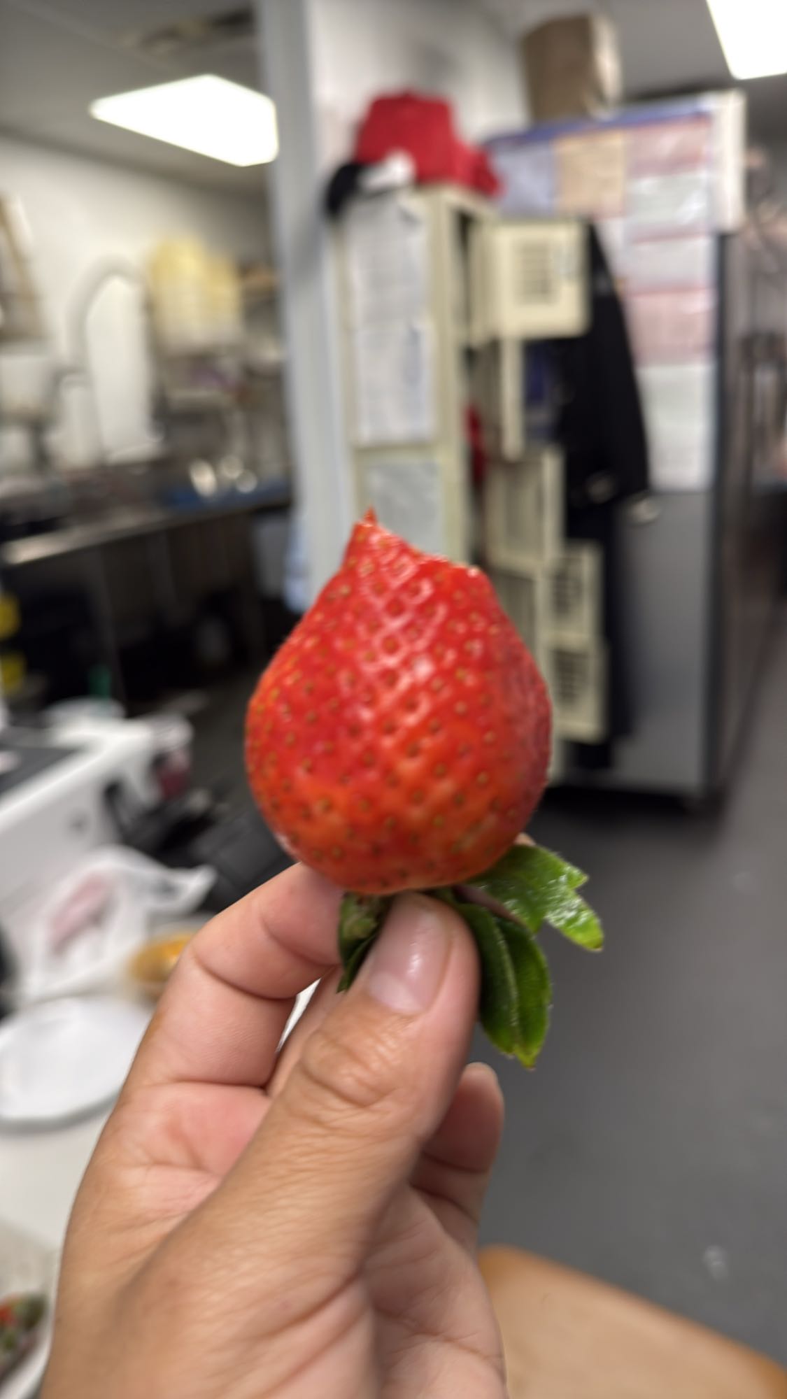 Single Strawberry