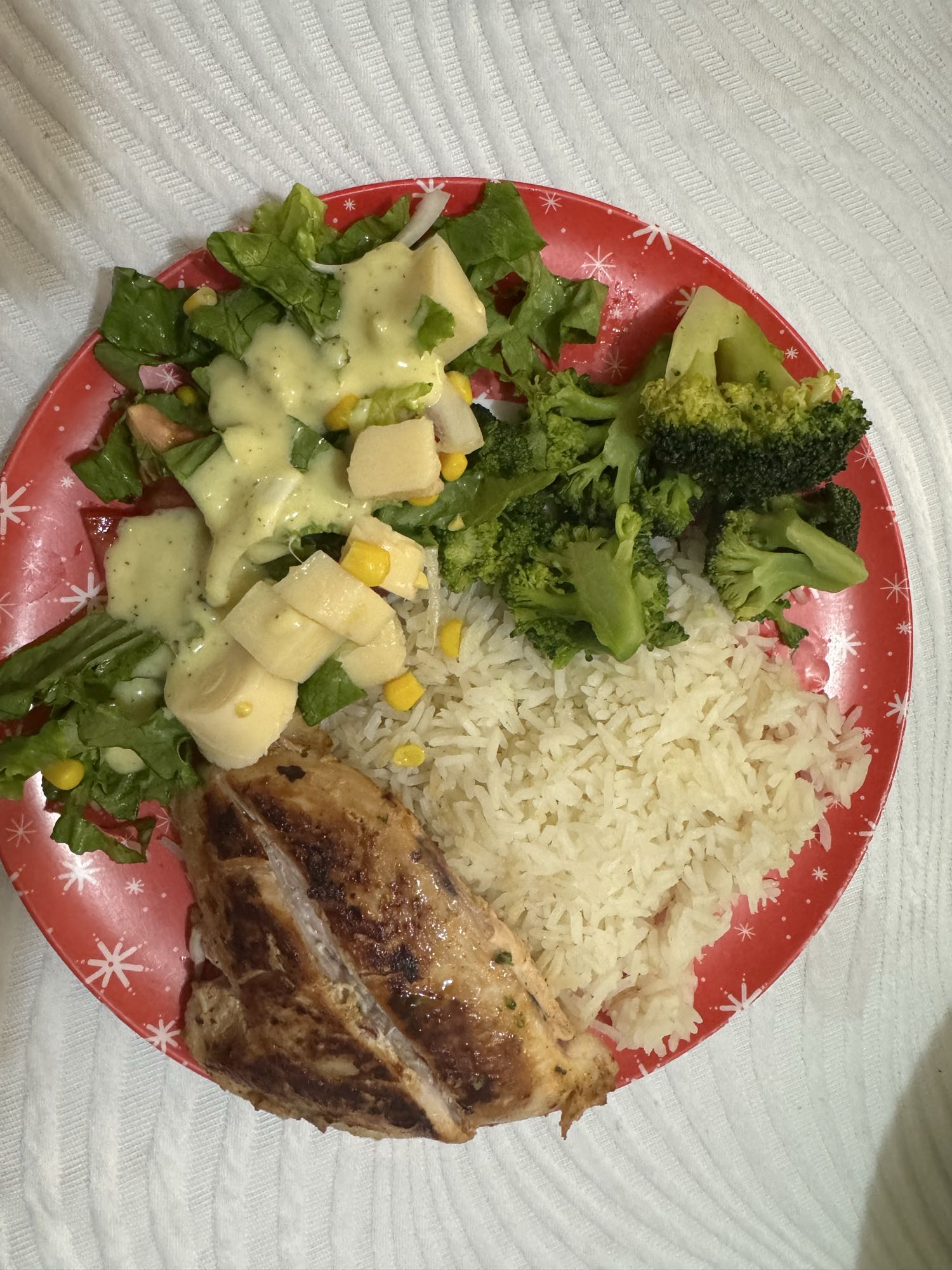 Pollo con arroz y ensalada