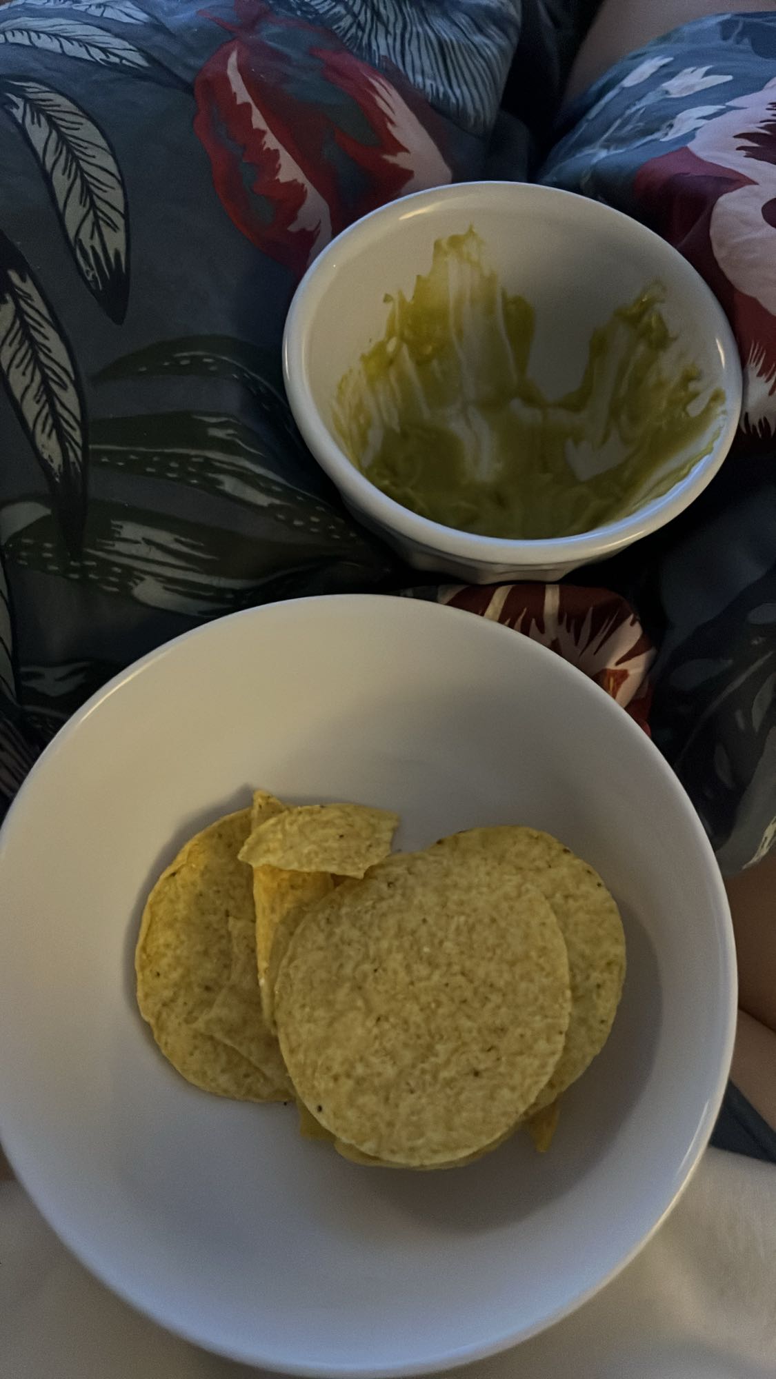 Tortillachips med guacamole