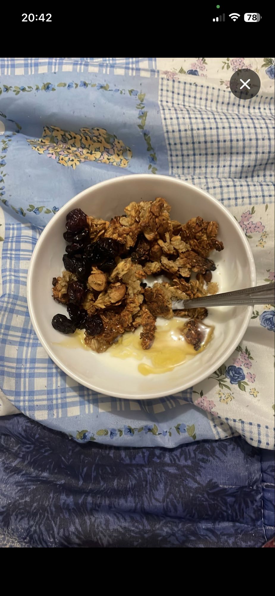 Yaourt granola et miel