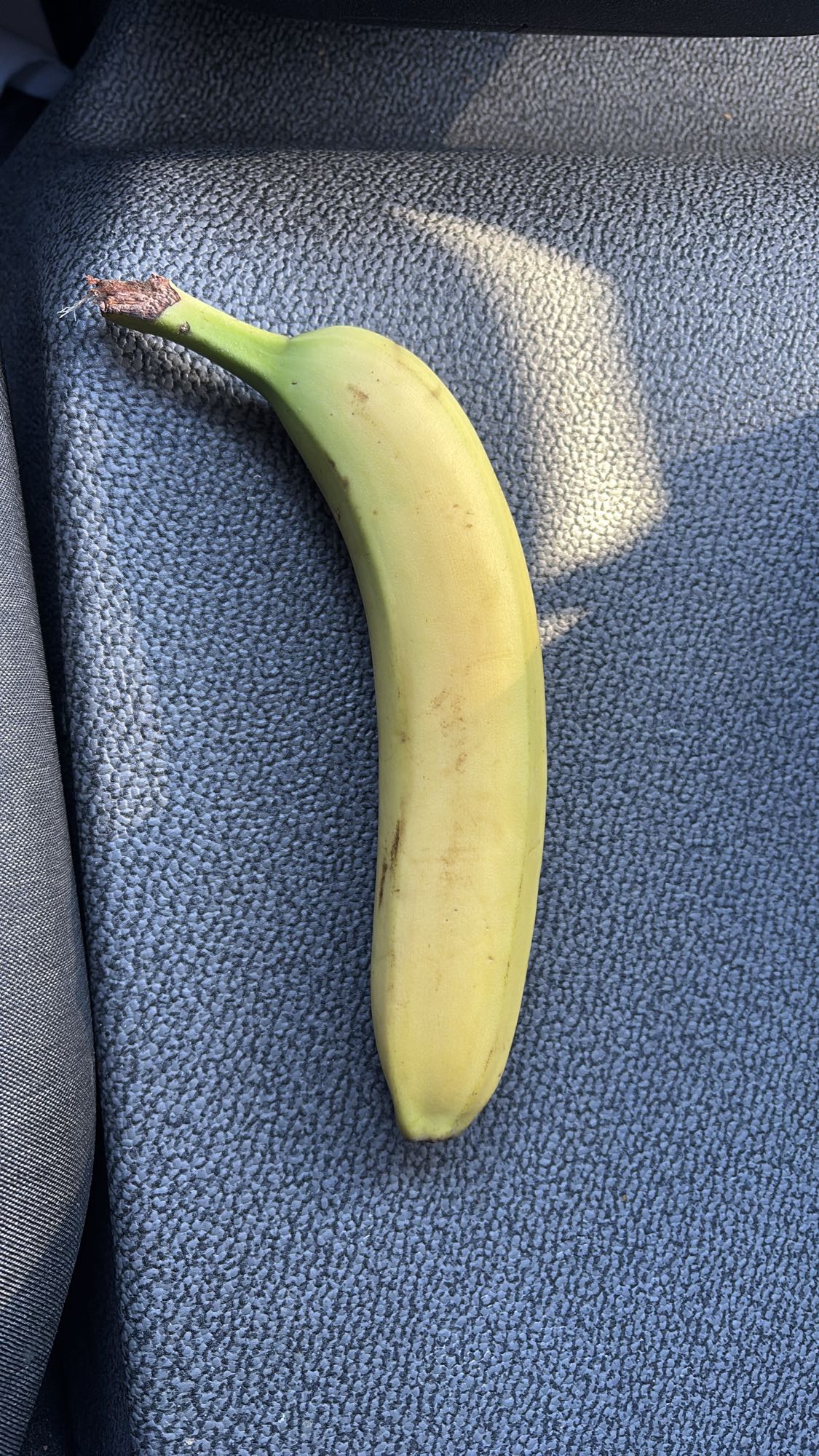 Banaan