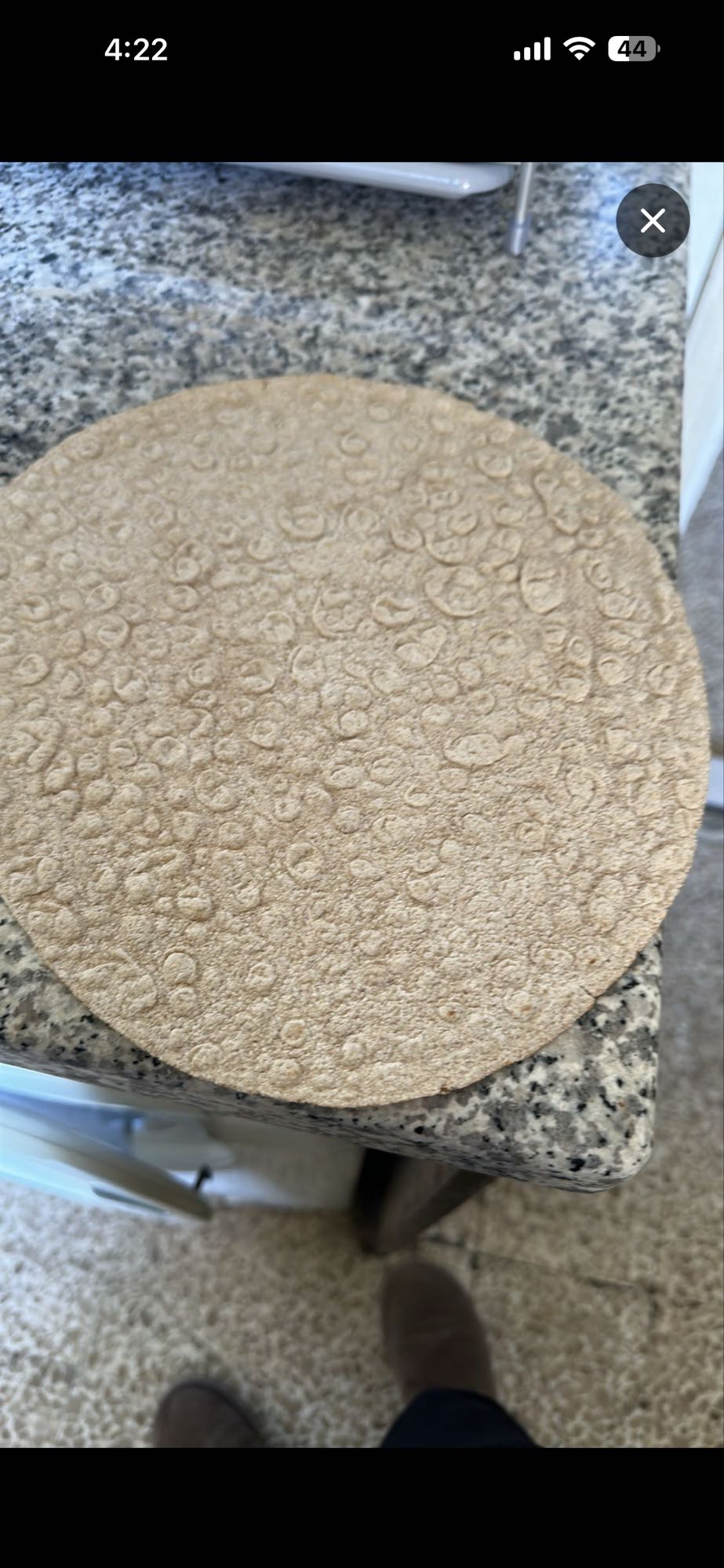 Whole wheat tortilla