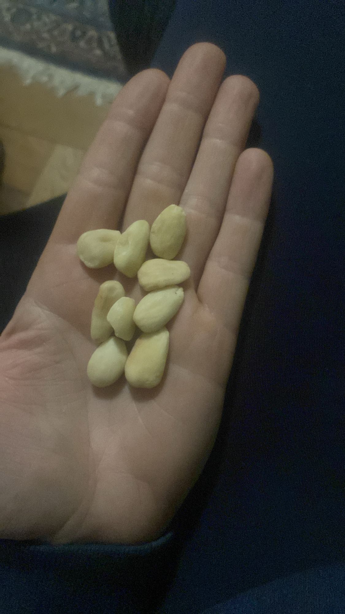 Blanched Almonds Snack