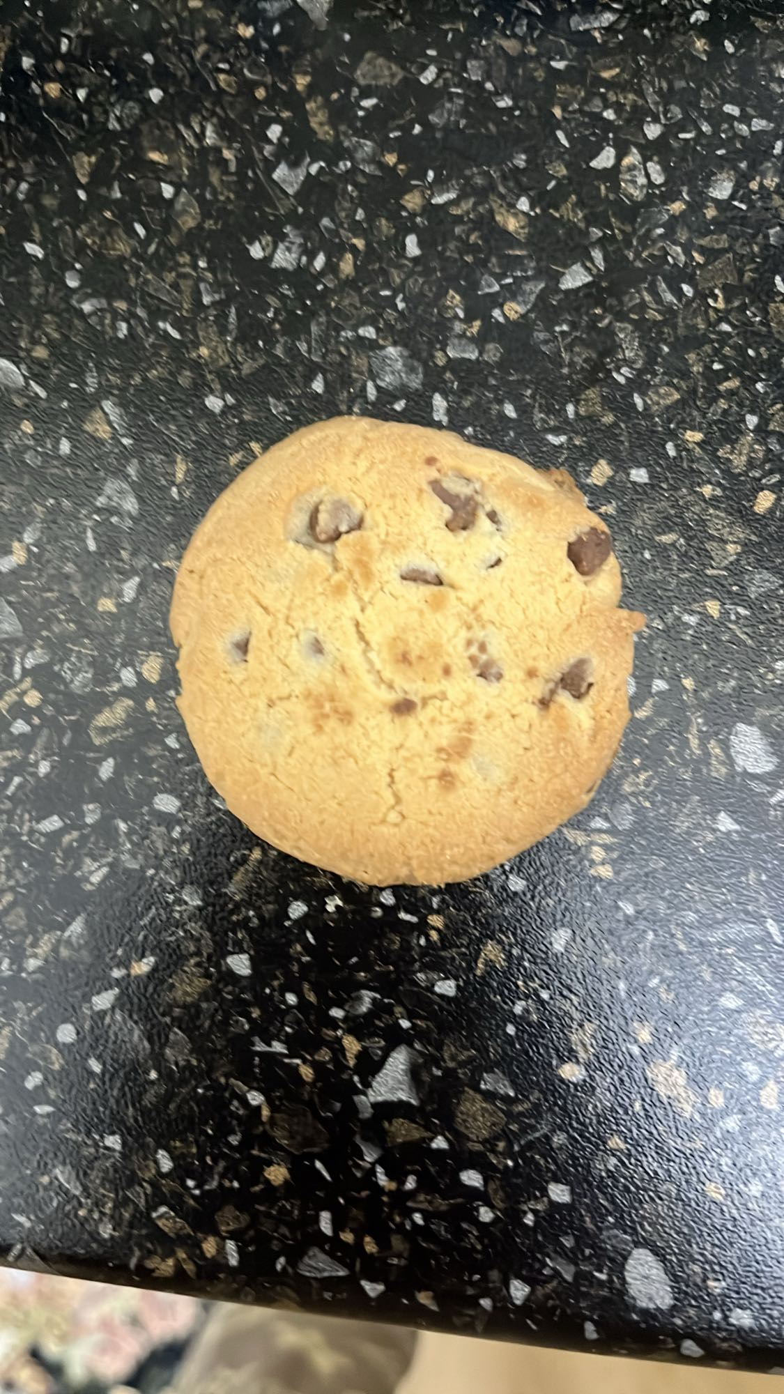 шоколадное печенье