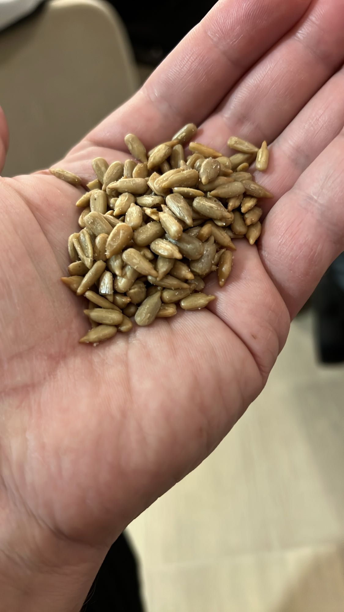 Handful of sunflower seeds