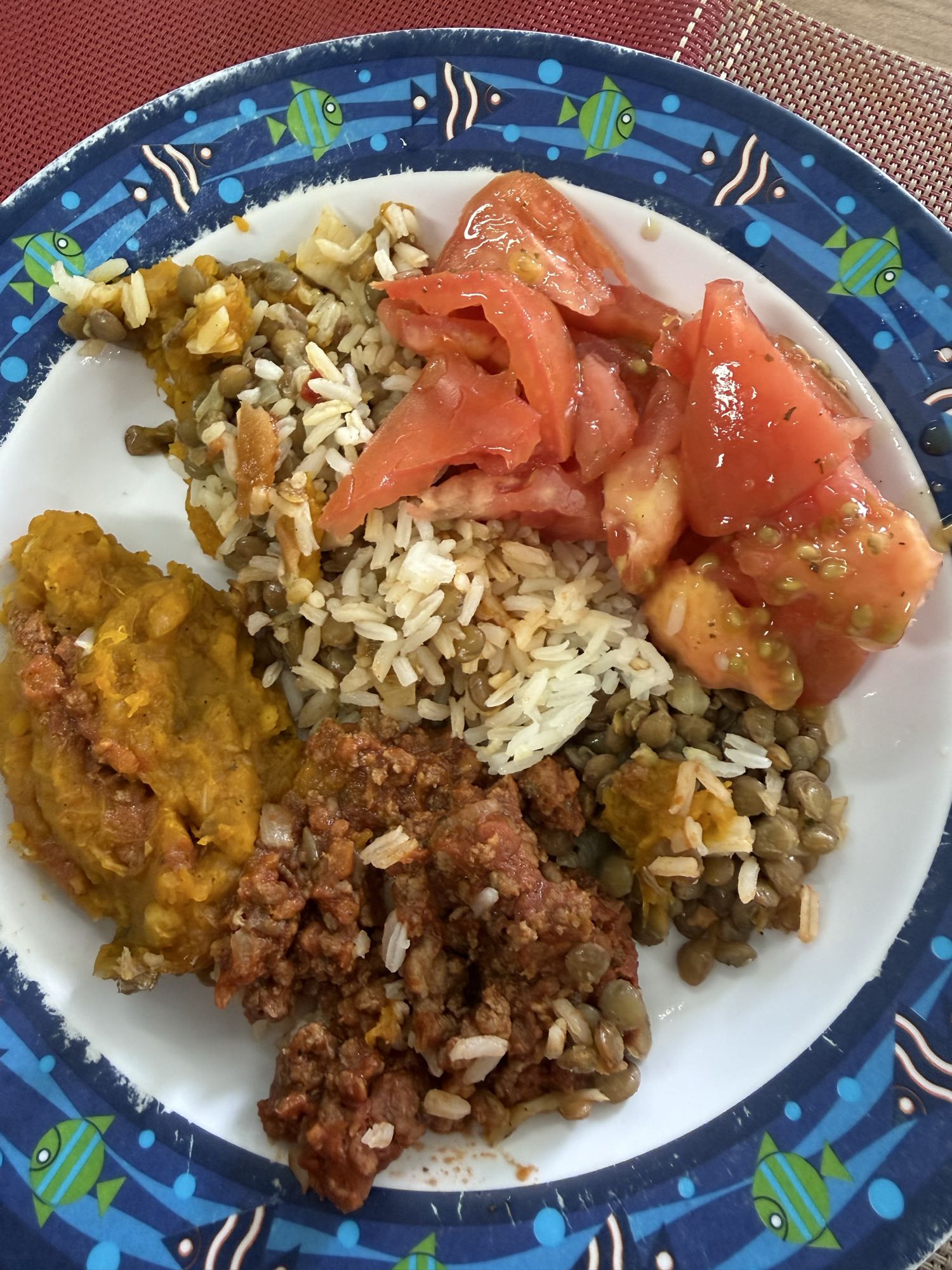 Arroz com carne e legumes