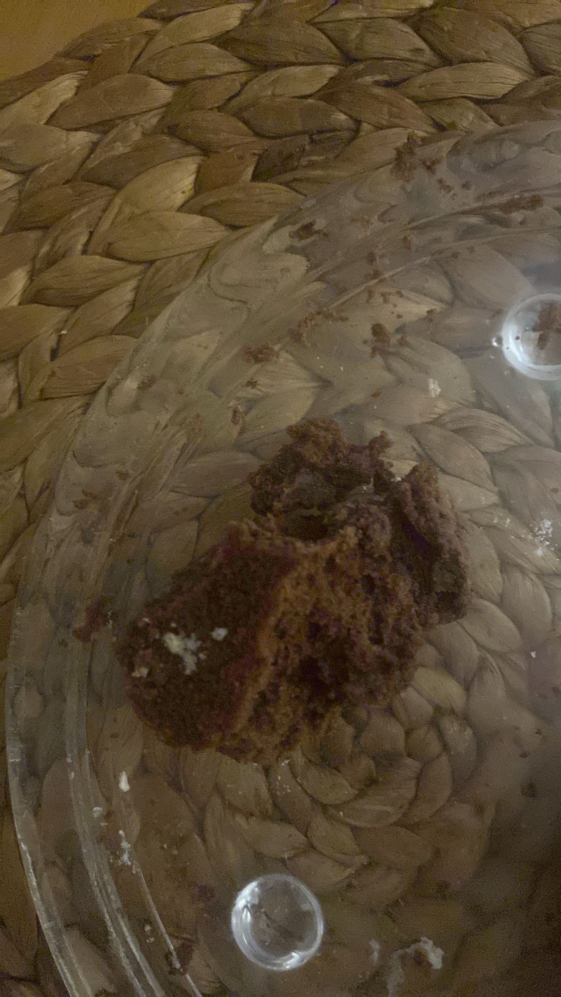 kawałek ciasta czekoladowego