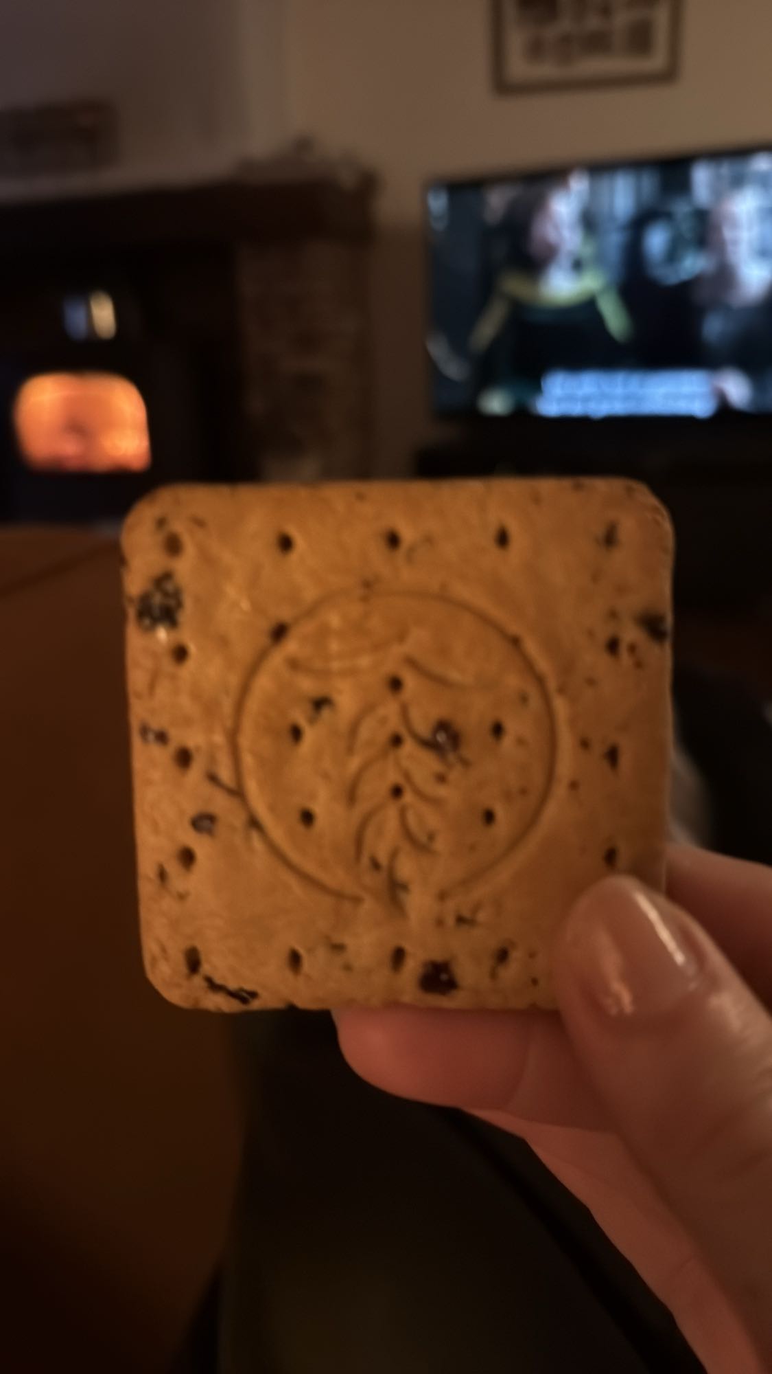 koekje met chocolade