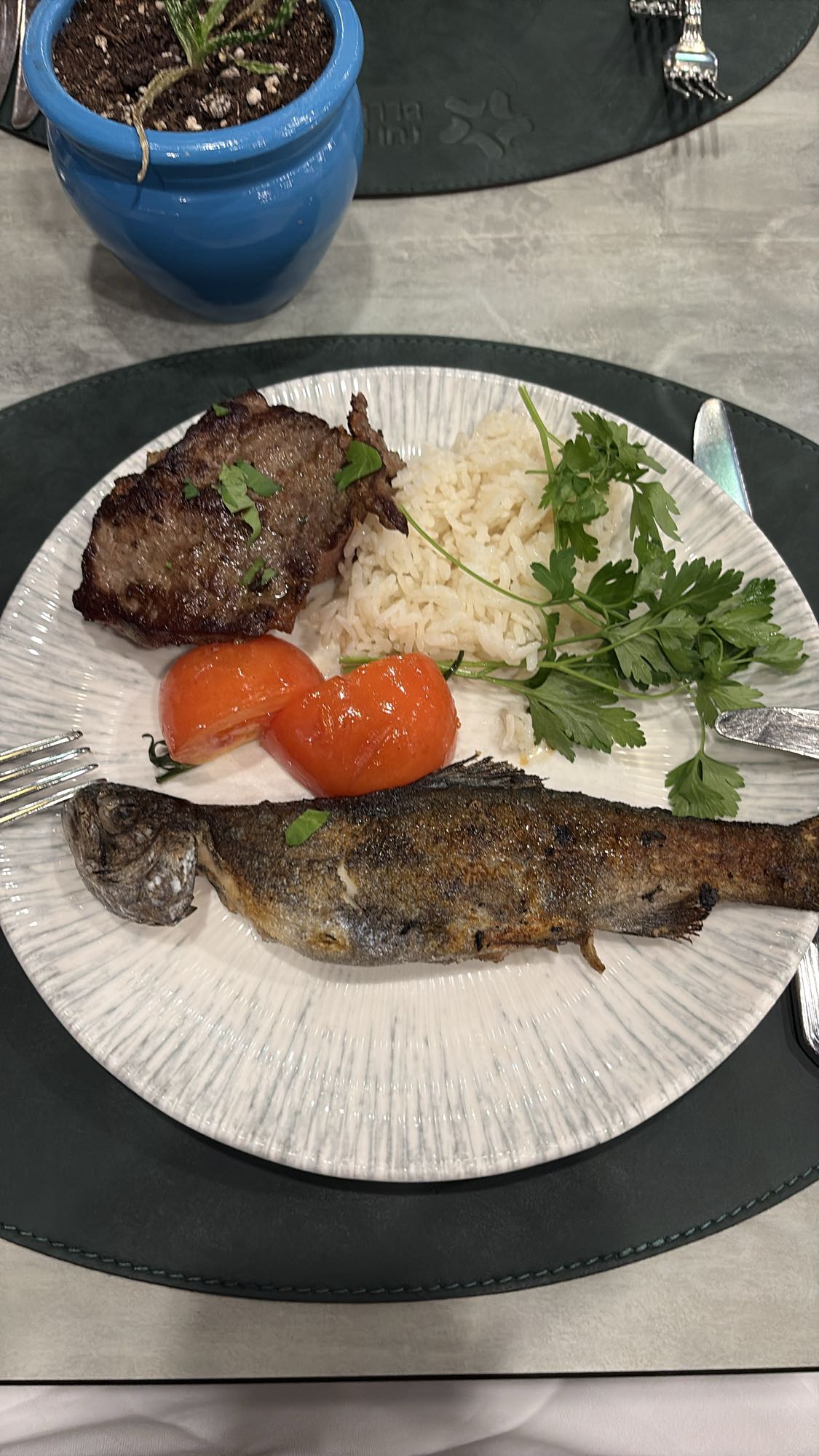 Grilled Fish & Steak Plate