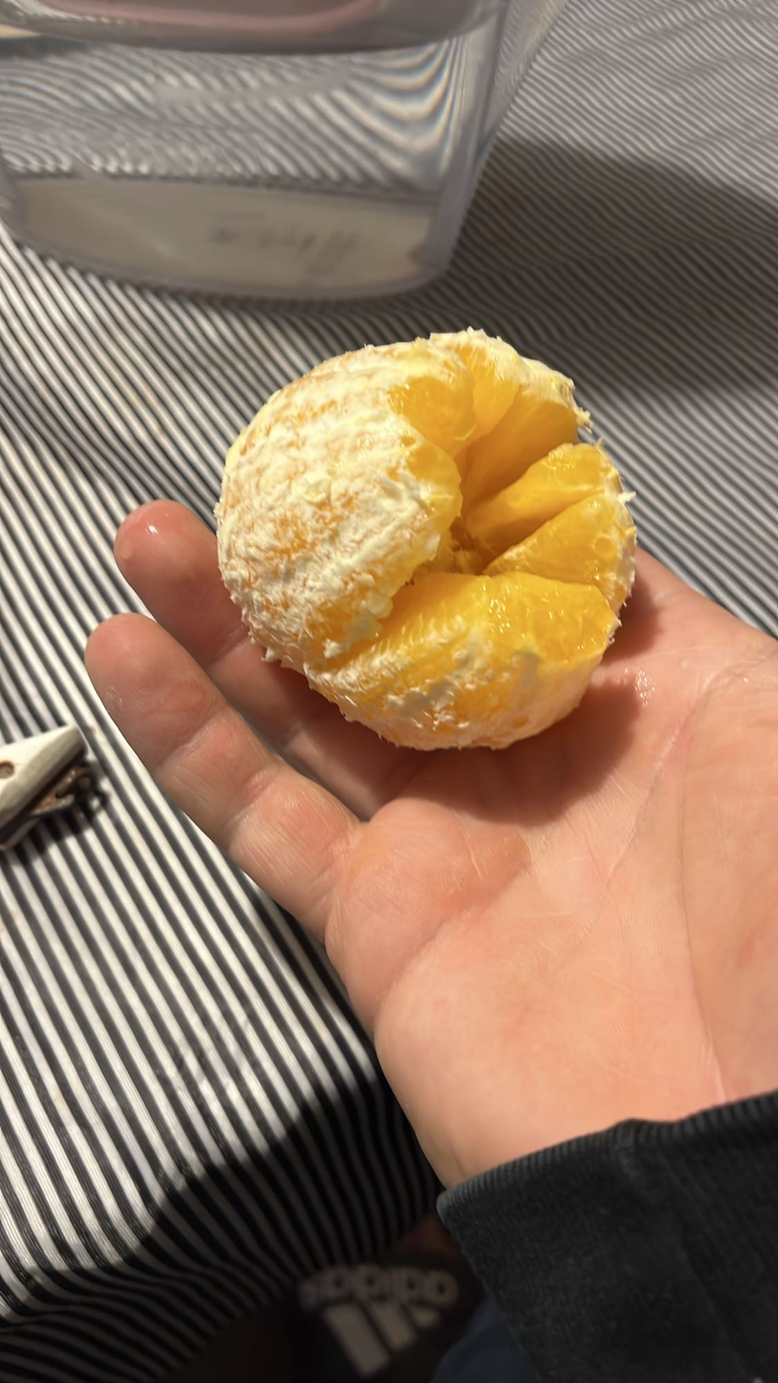 обелен портокал