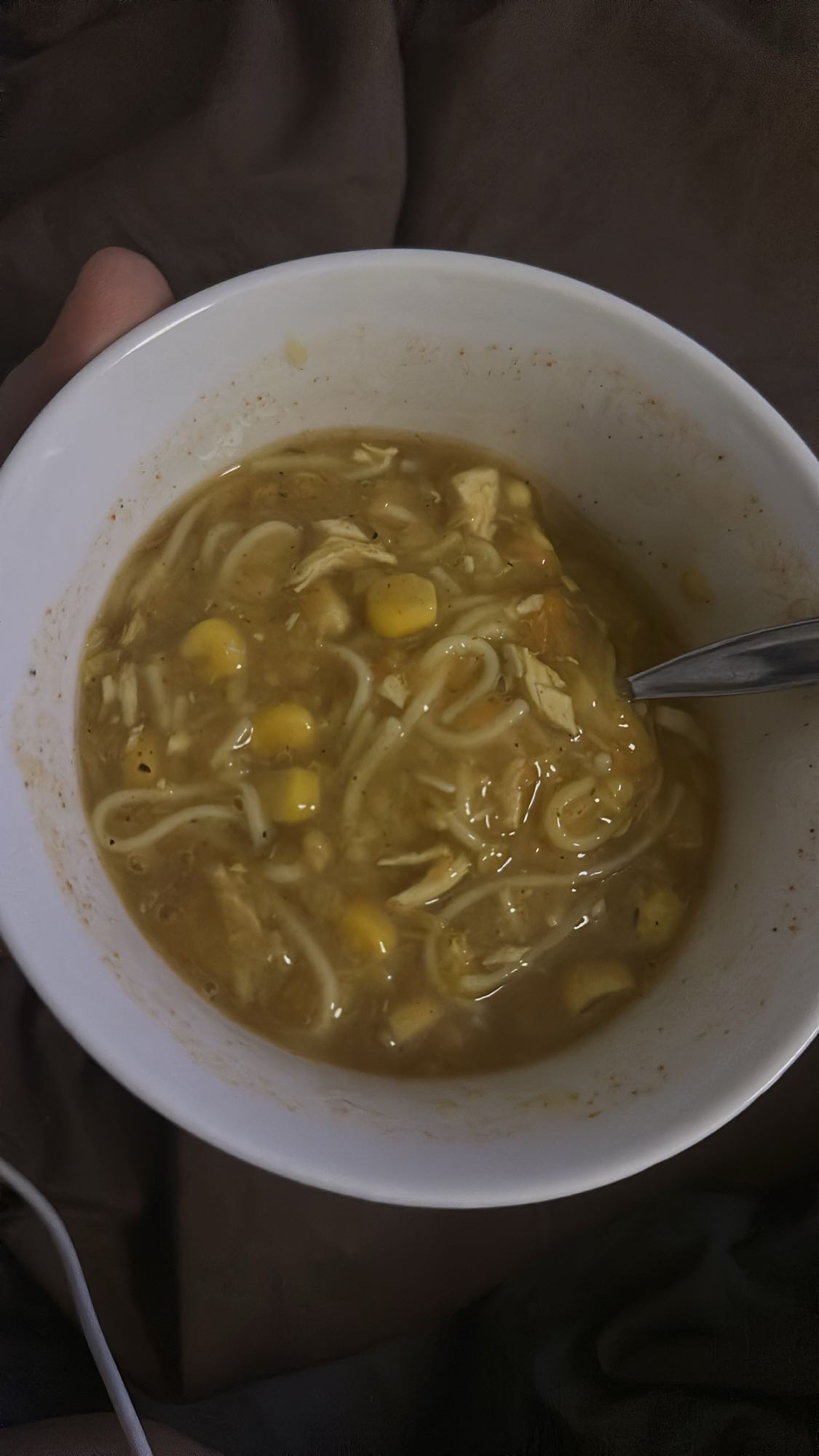 Kycklingsoppa med nudlar