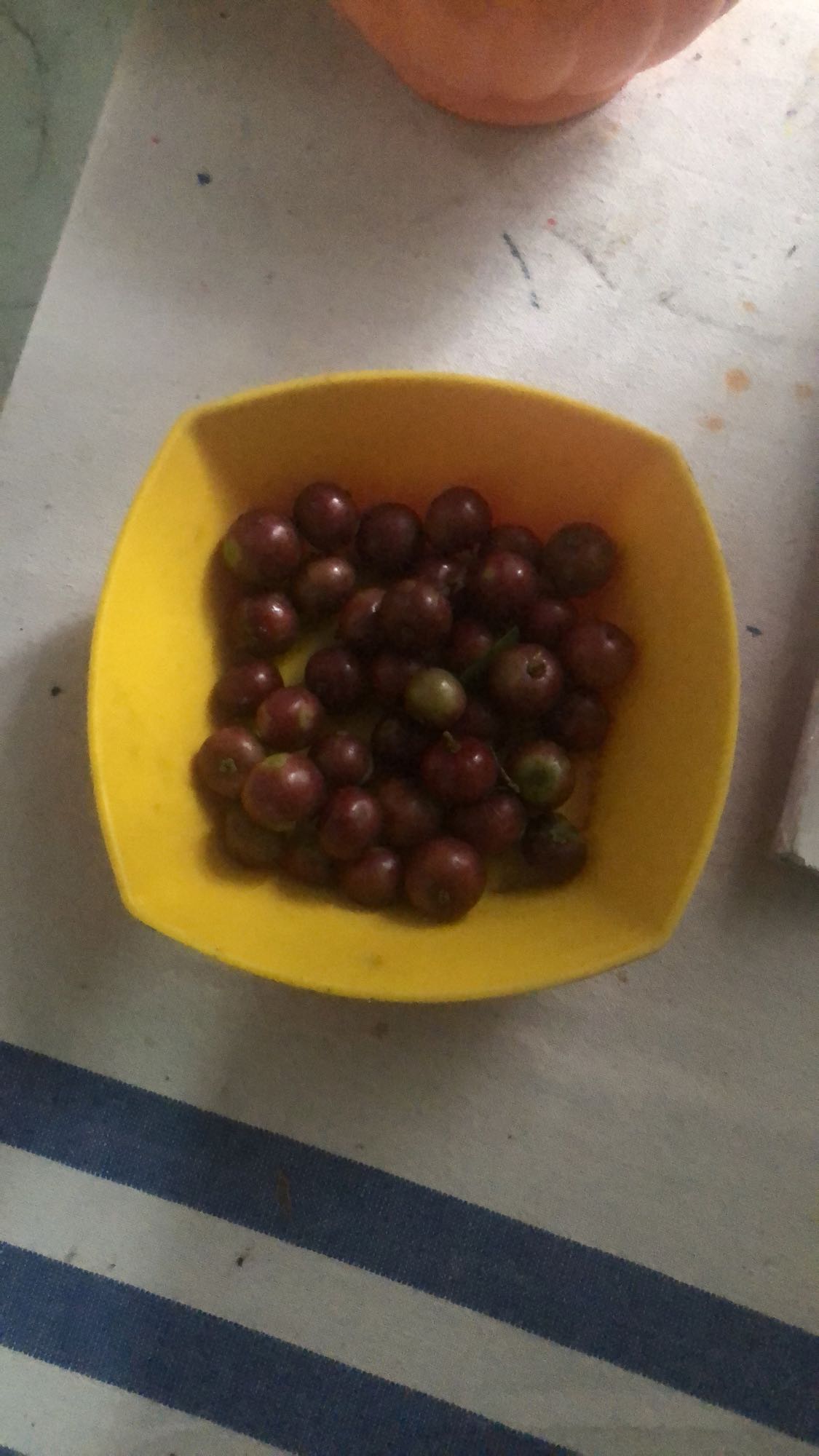 Fresh camu camu bowl