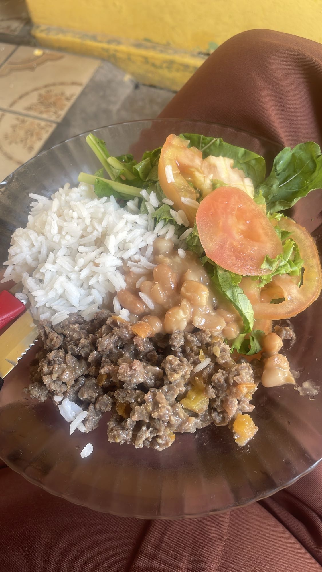Arroz, carne moída e salada