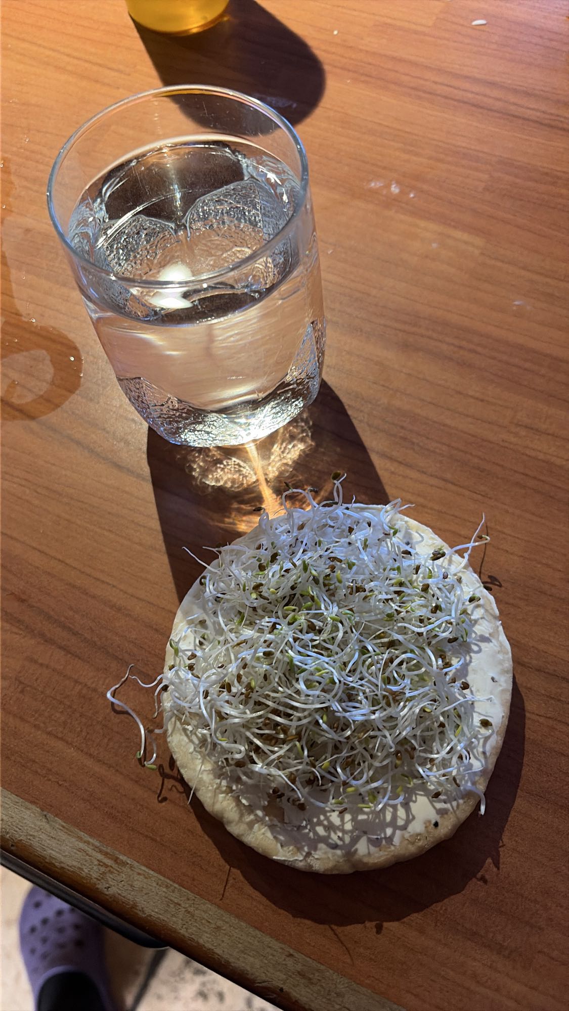 Knäckebröd med groddar