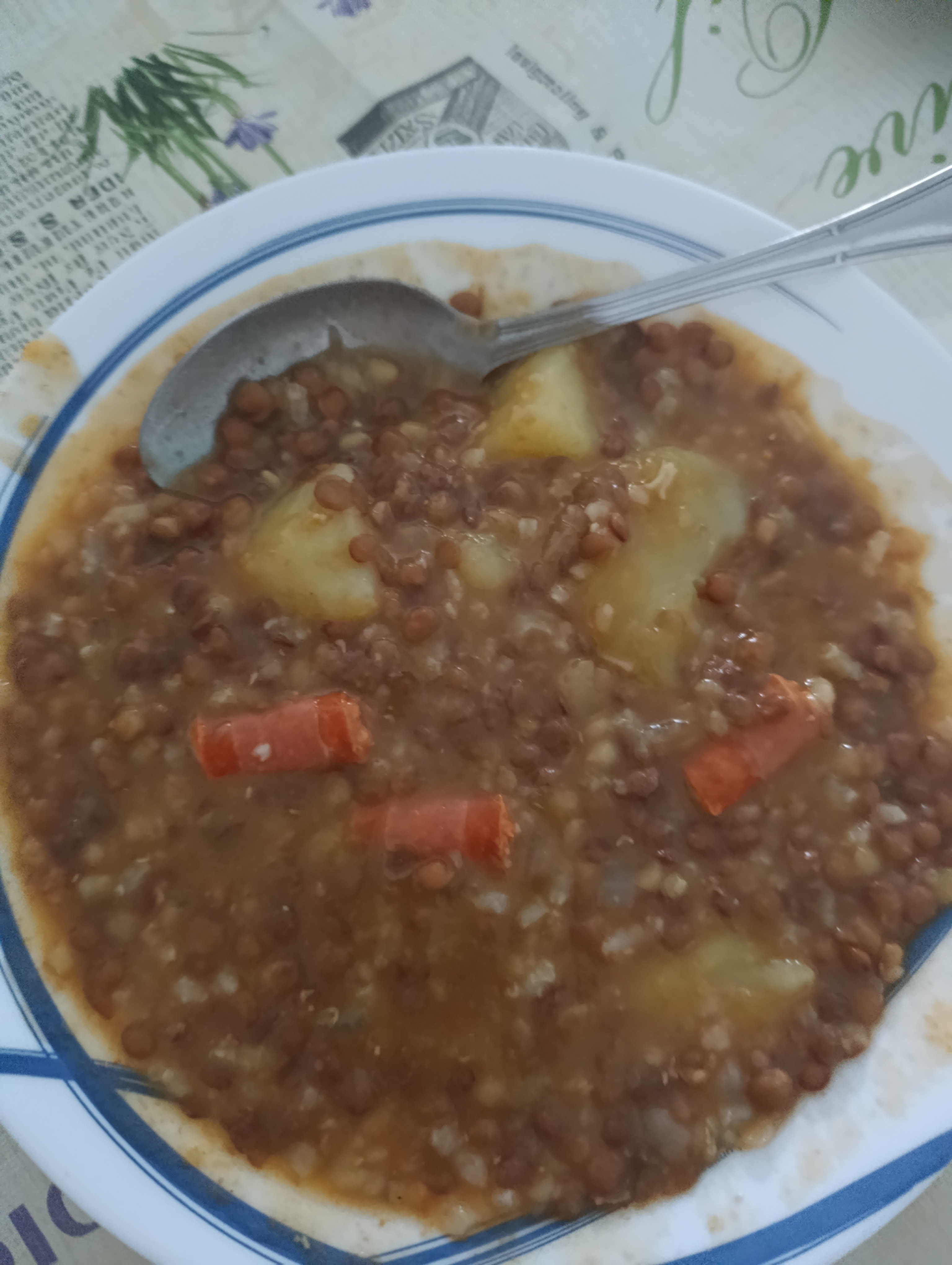 Lentejas con verduras