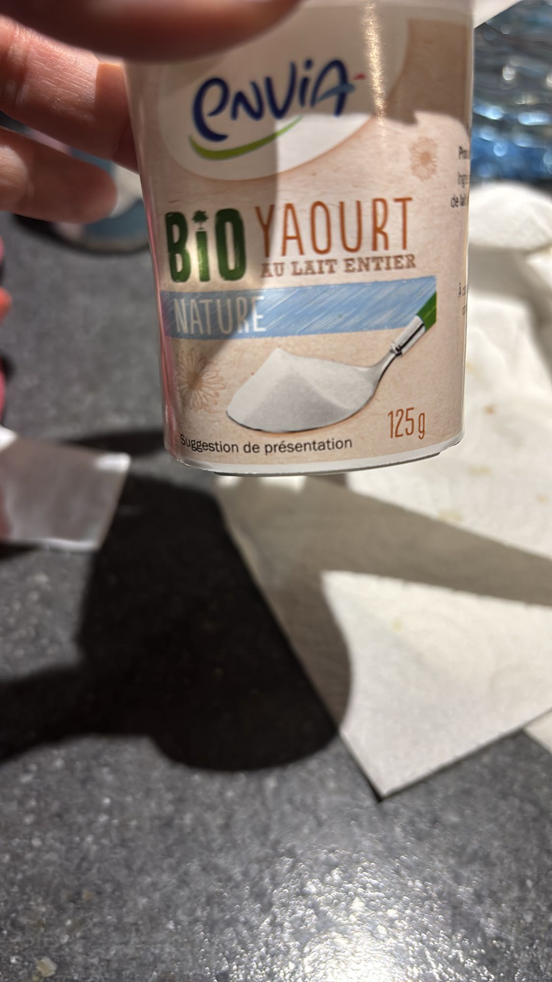 Yaourt nature entier