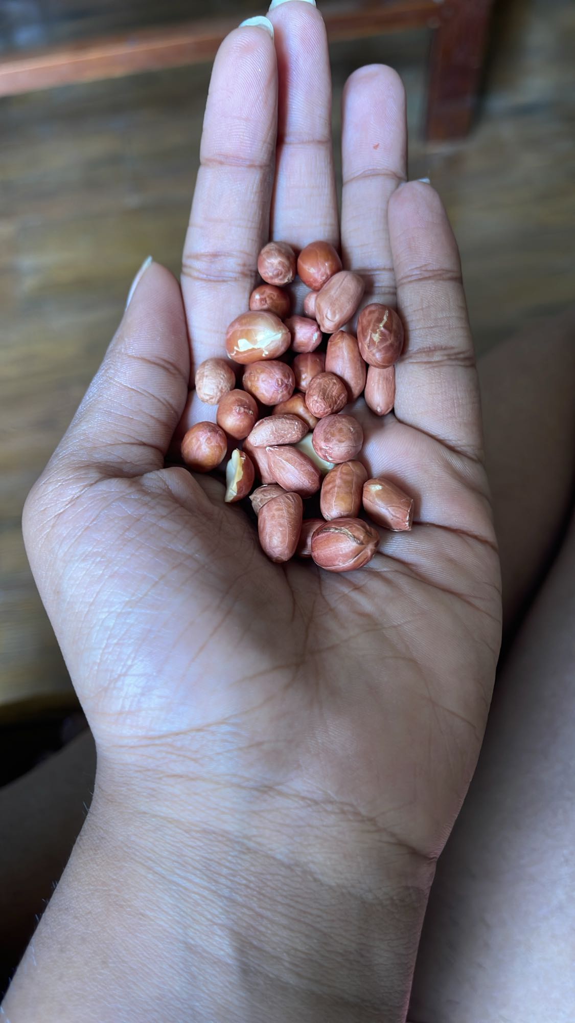 Raw peanuts handful