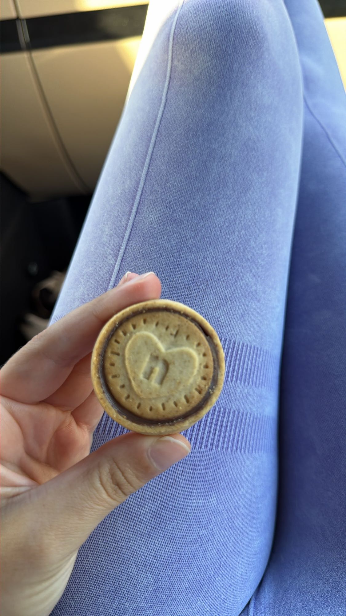 Biscuit cu cremă de nutela