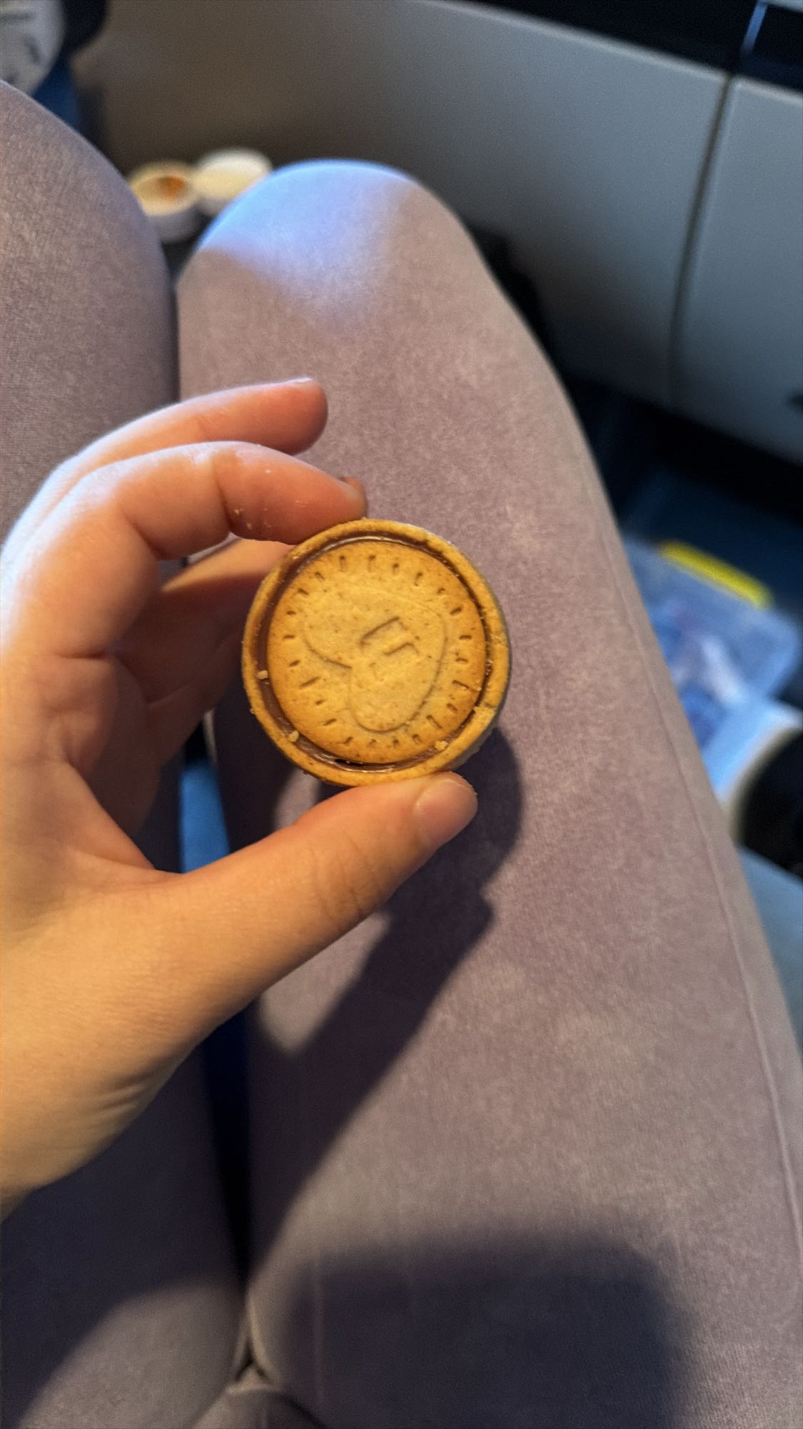 Biscuiți cu Nutella