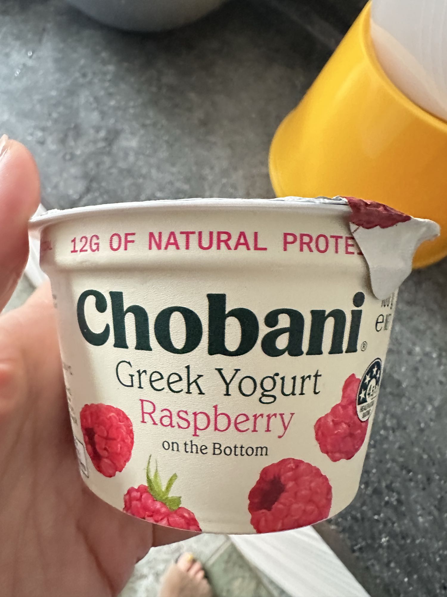 Raspberry Greek Yogurt