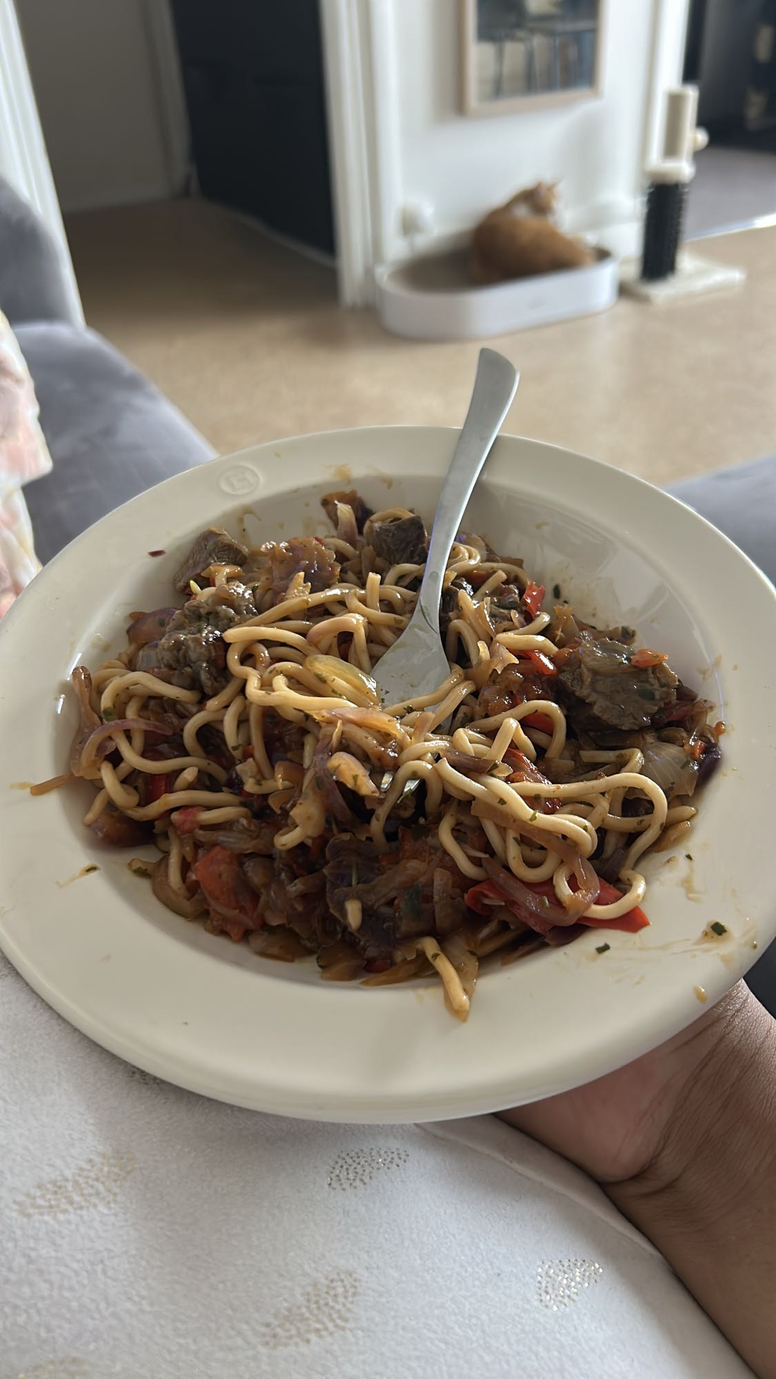 Nouilles au bœuf sauté