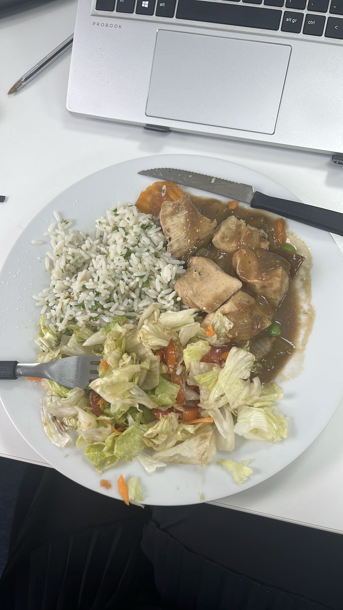 Pollo con arroz y ensalada