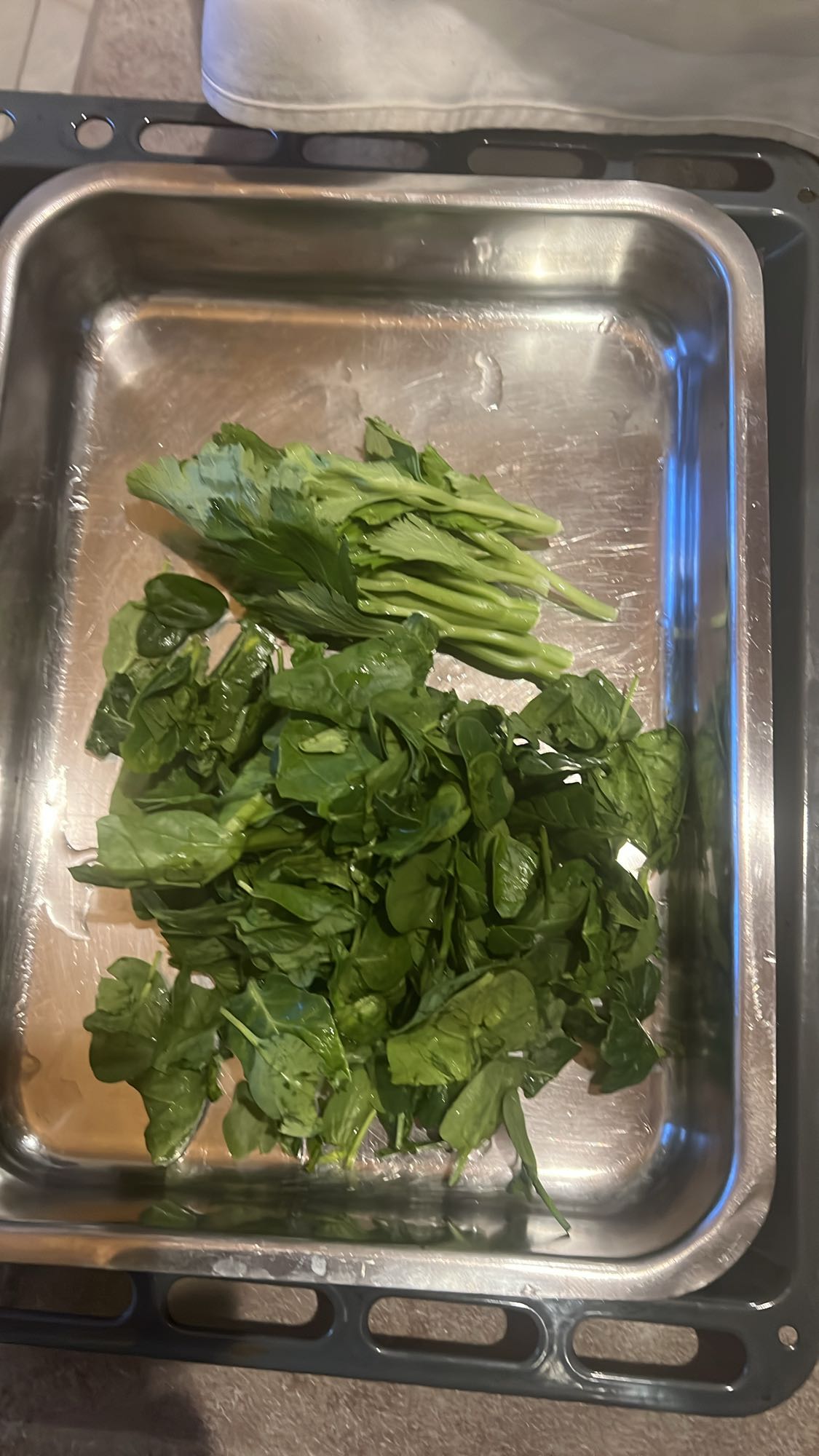 Legume verzi proaspete