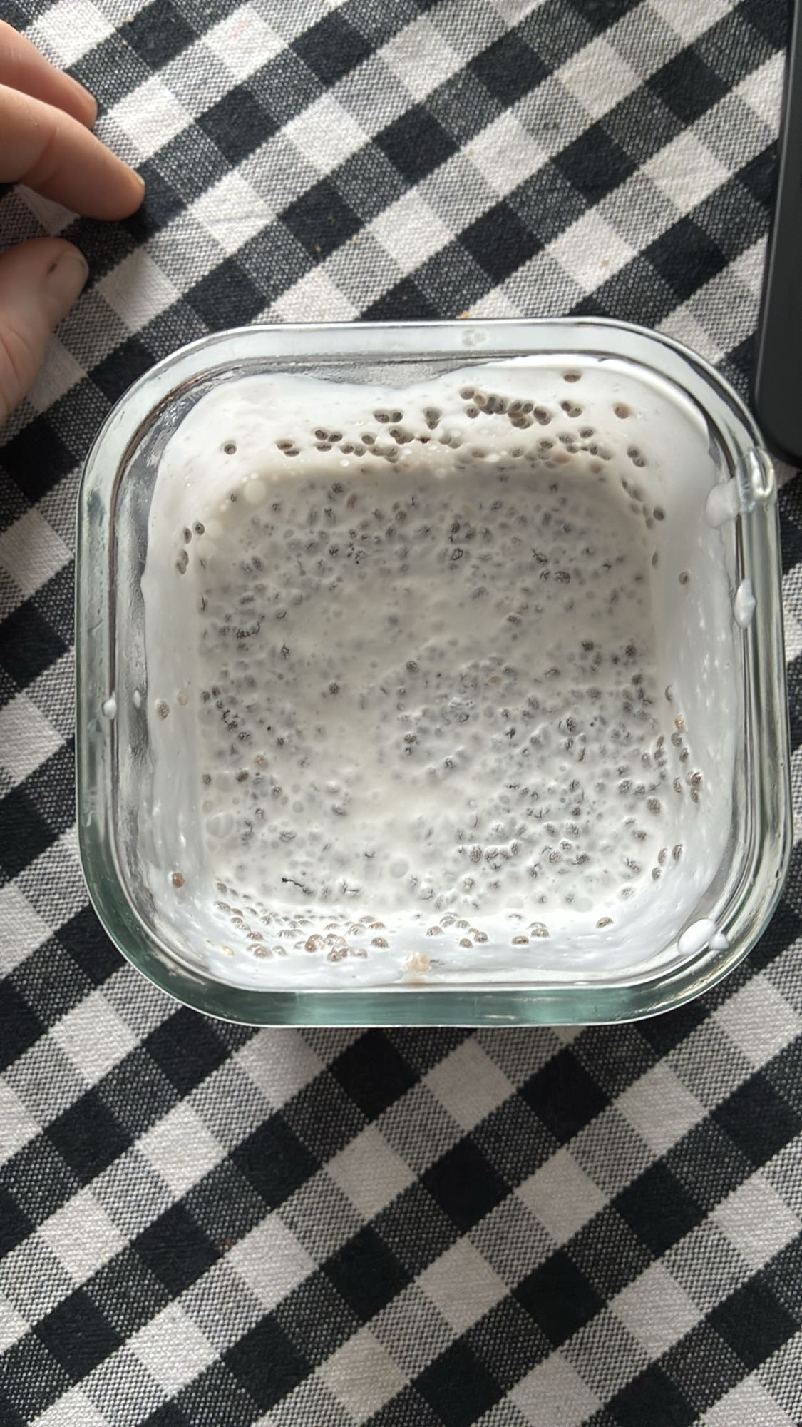 Chiapudding mit Kokosmilch
