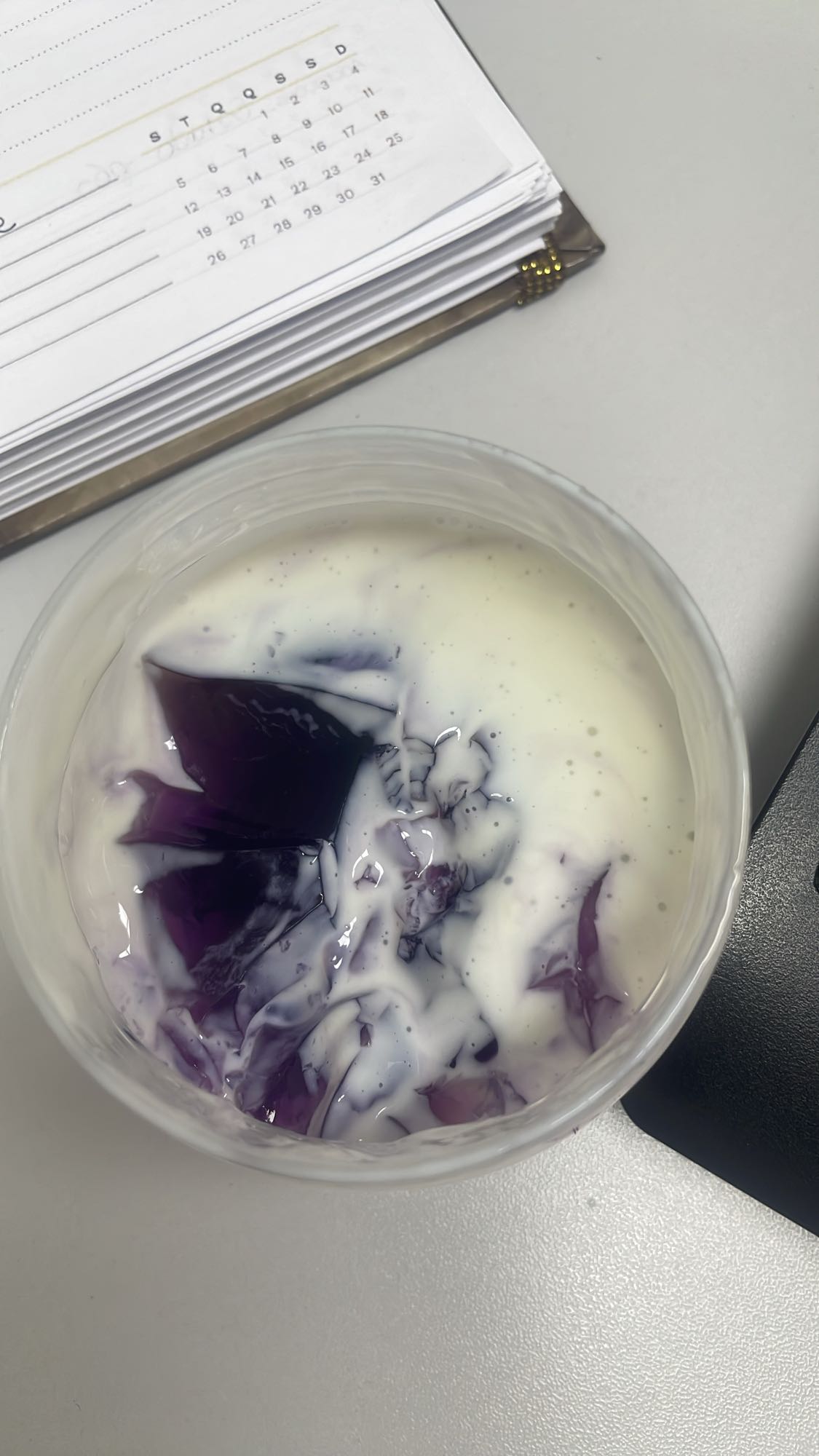 Iogurte com gelatina