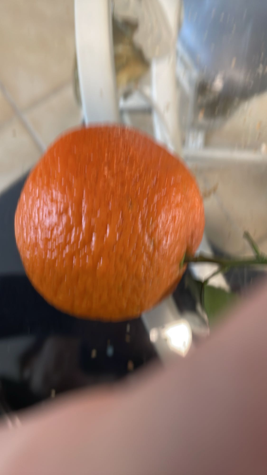 Mandarine fraîche