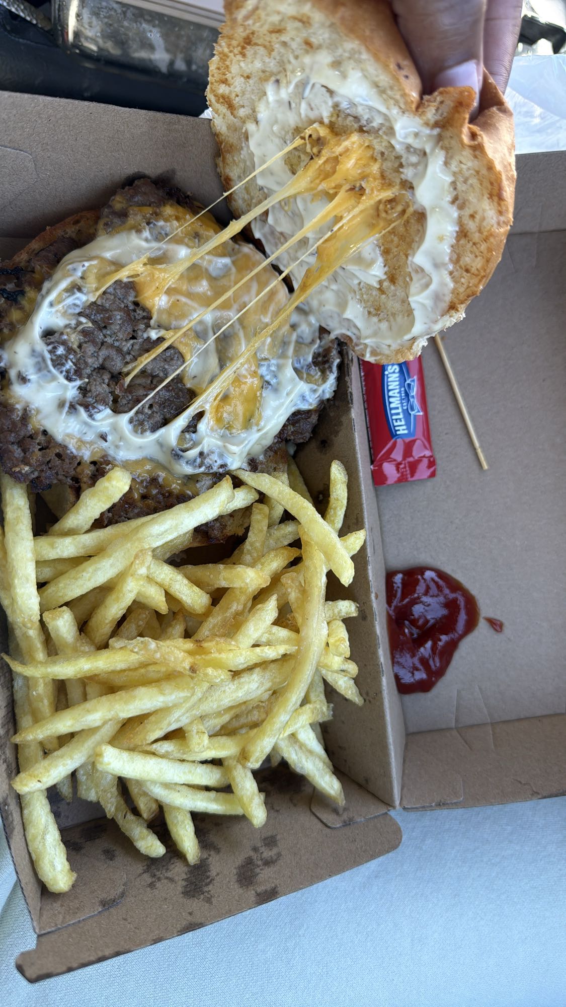 Cheeseburger with Fries