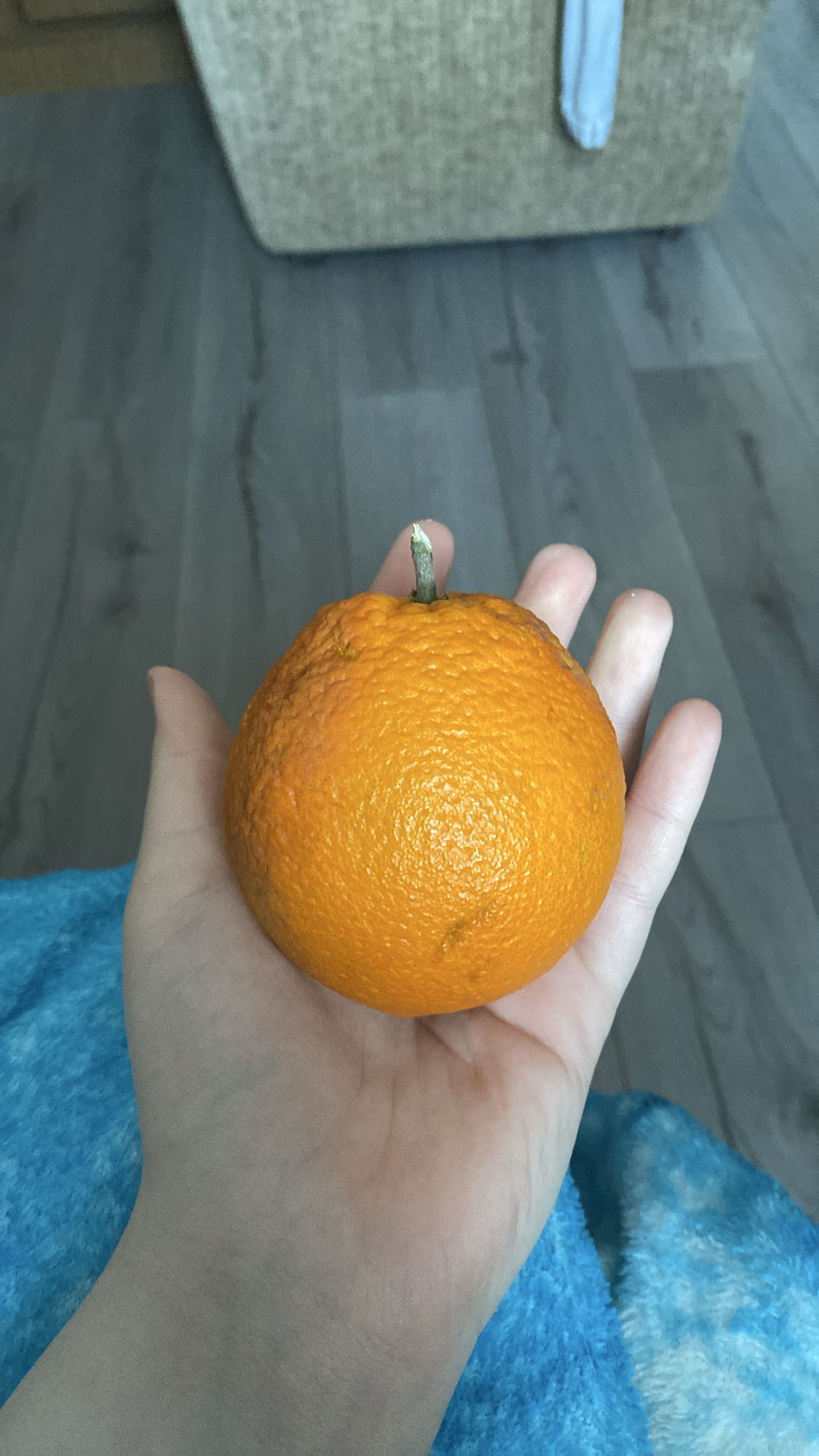 Portocală întreagă