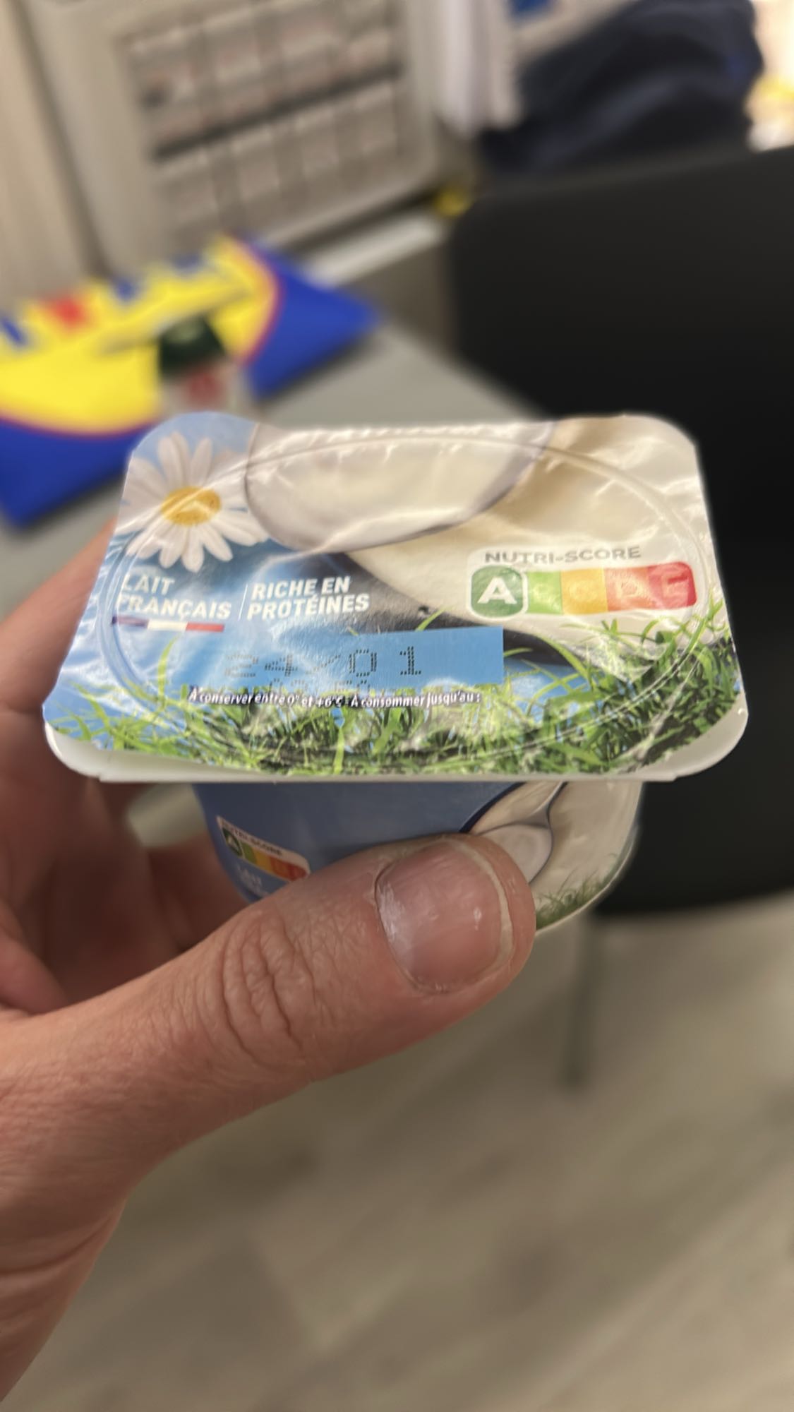 Yaourt nature protéiné