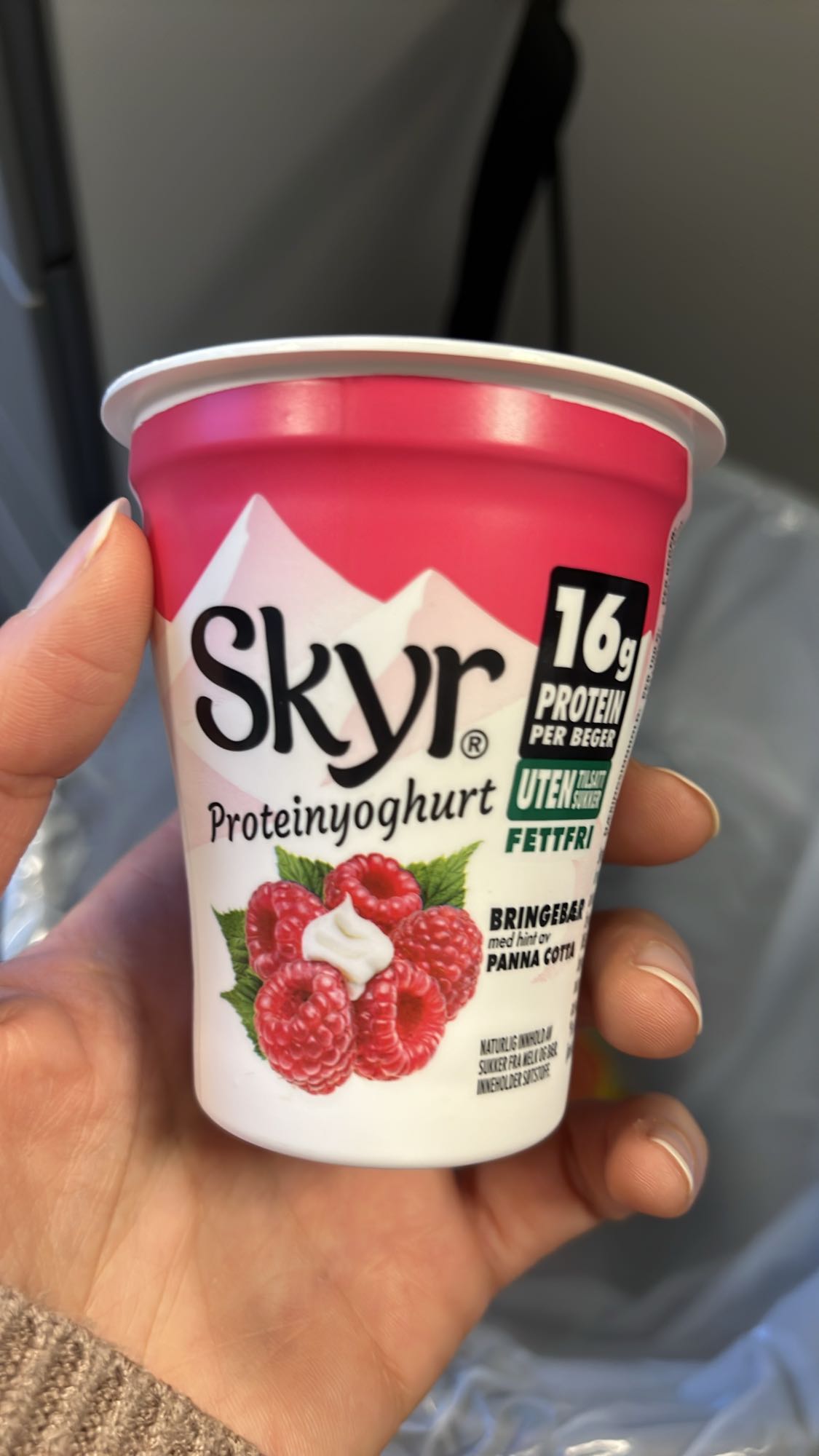 Skyr Raspberry Yogurt