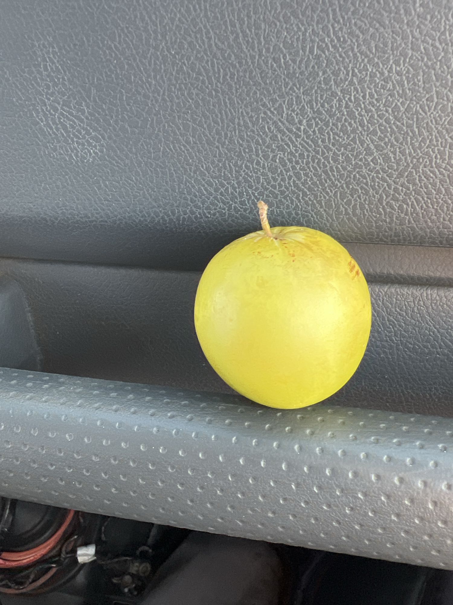 mirabelle plum fruit