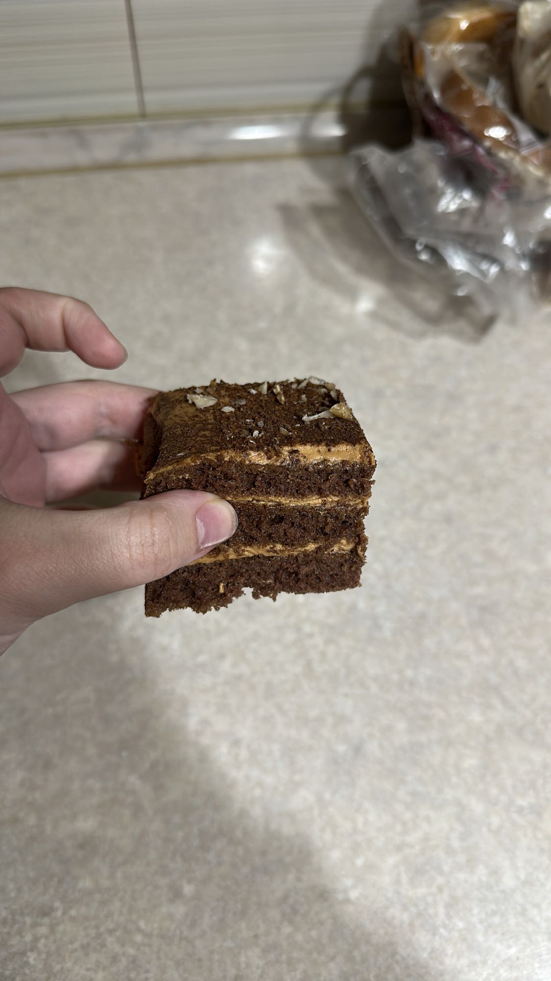 Chocolate Layer Cake Slice