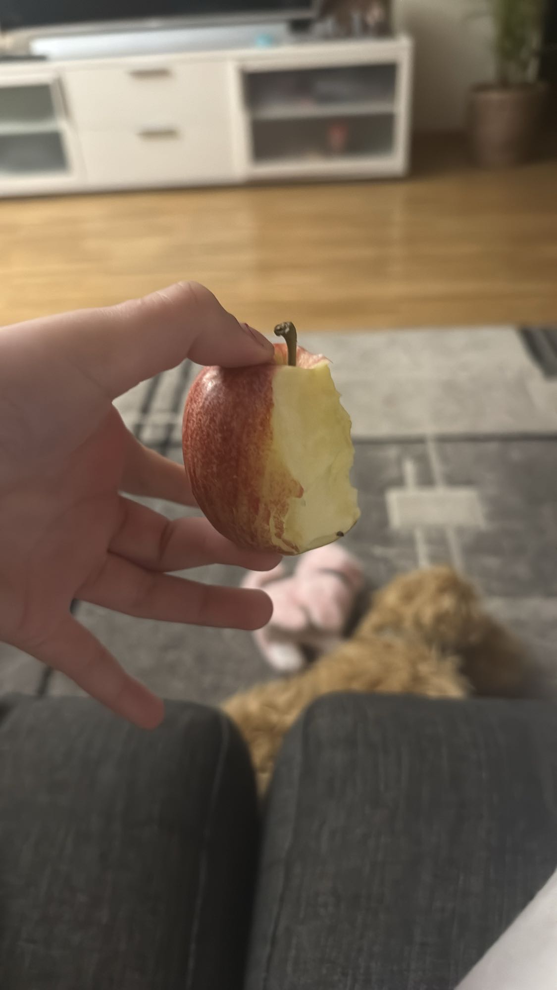 Bitten apple