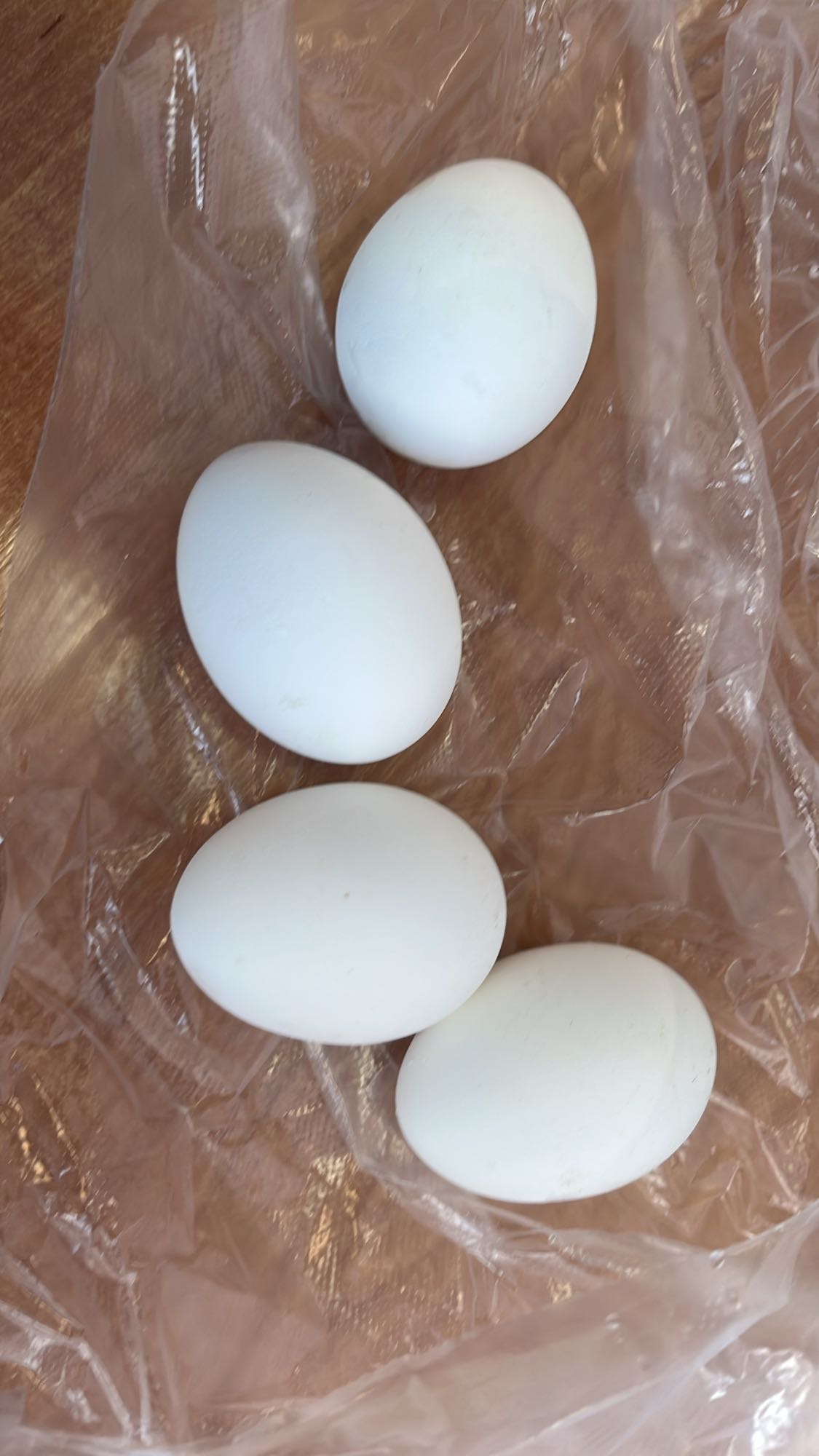 варёные яйца