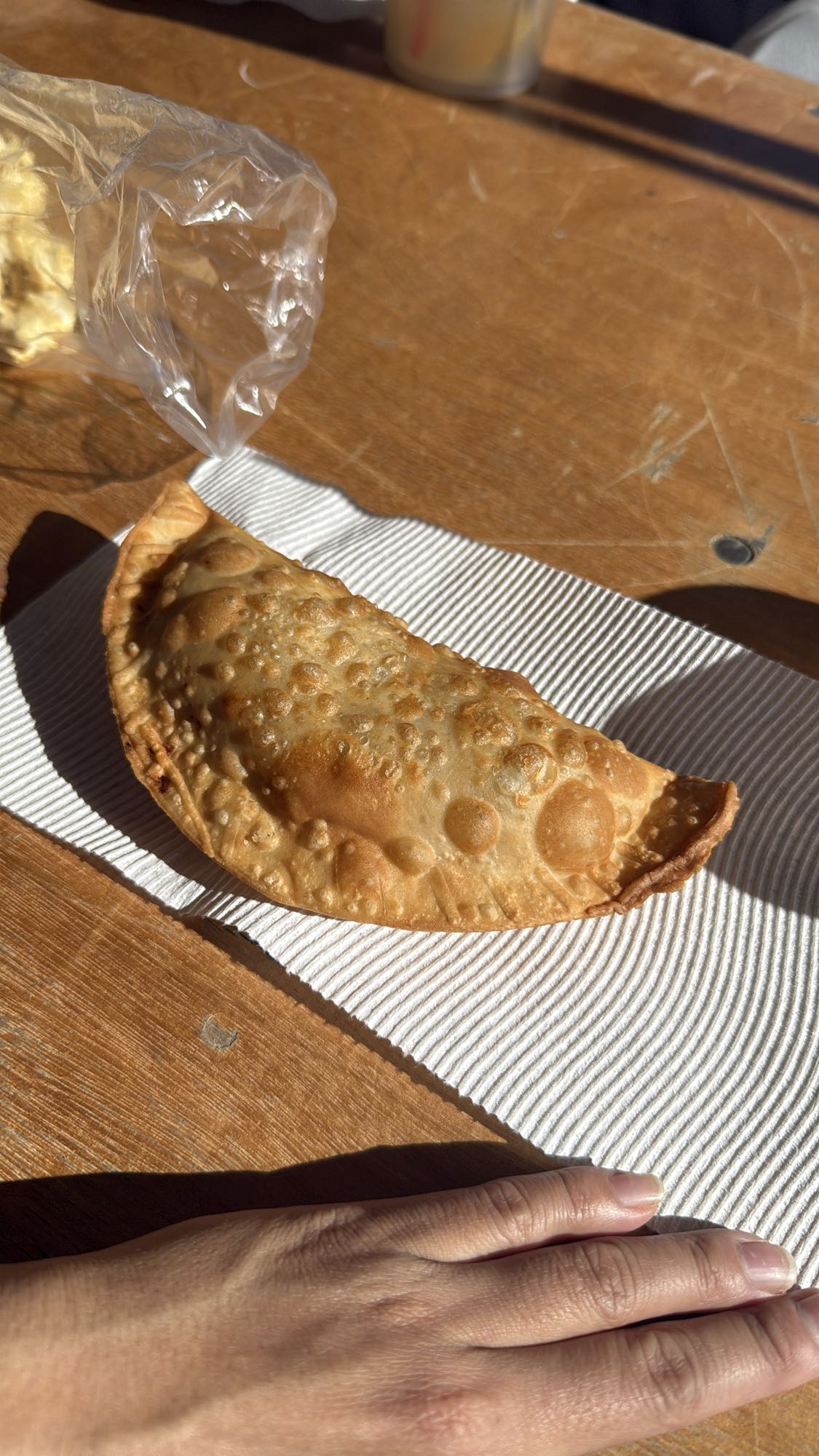 Chicken empanada