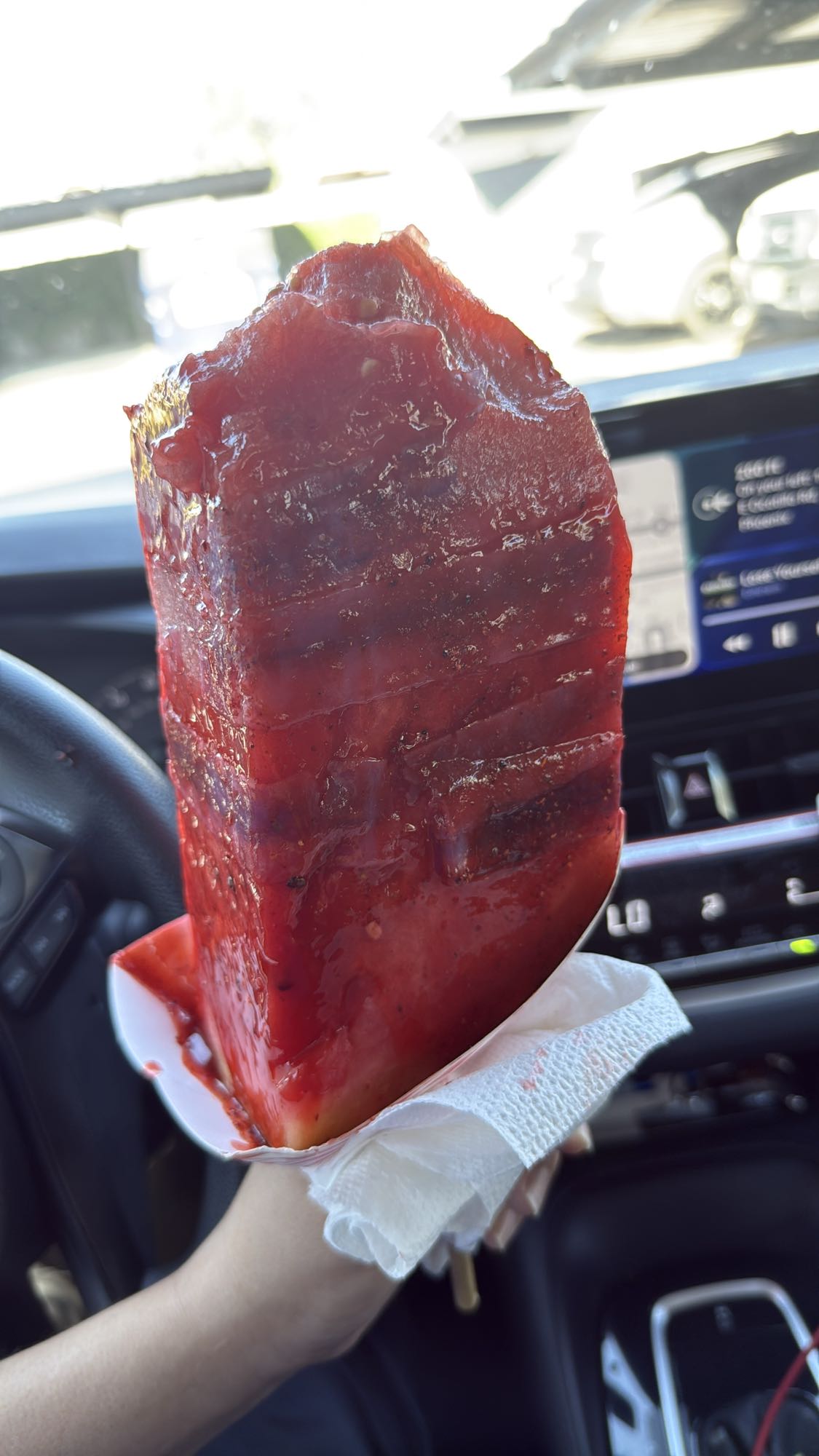 Watermelon Chamoy and fruit roll up