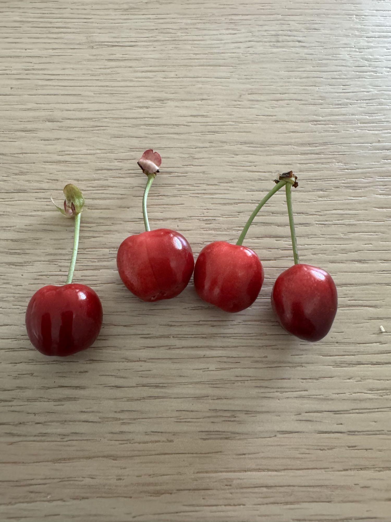 Cerises fraîches