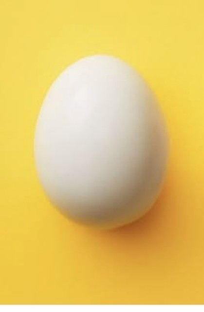 Boiled Egg