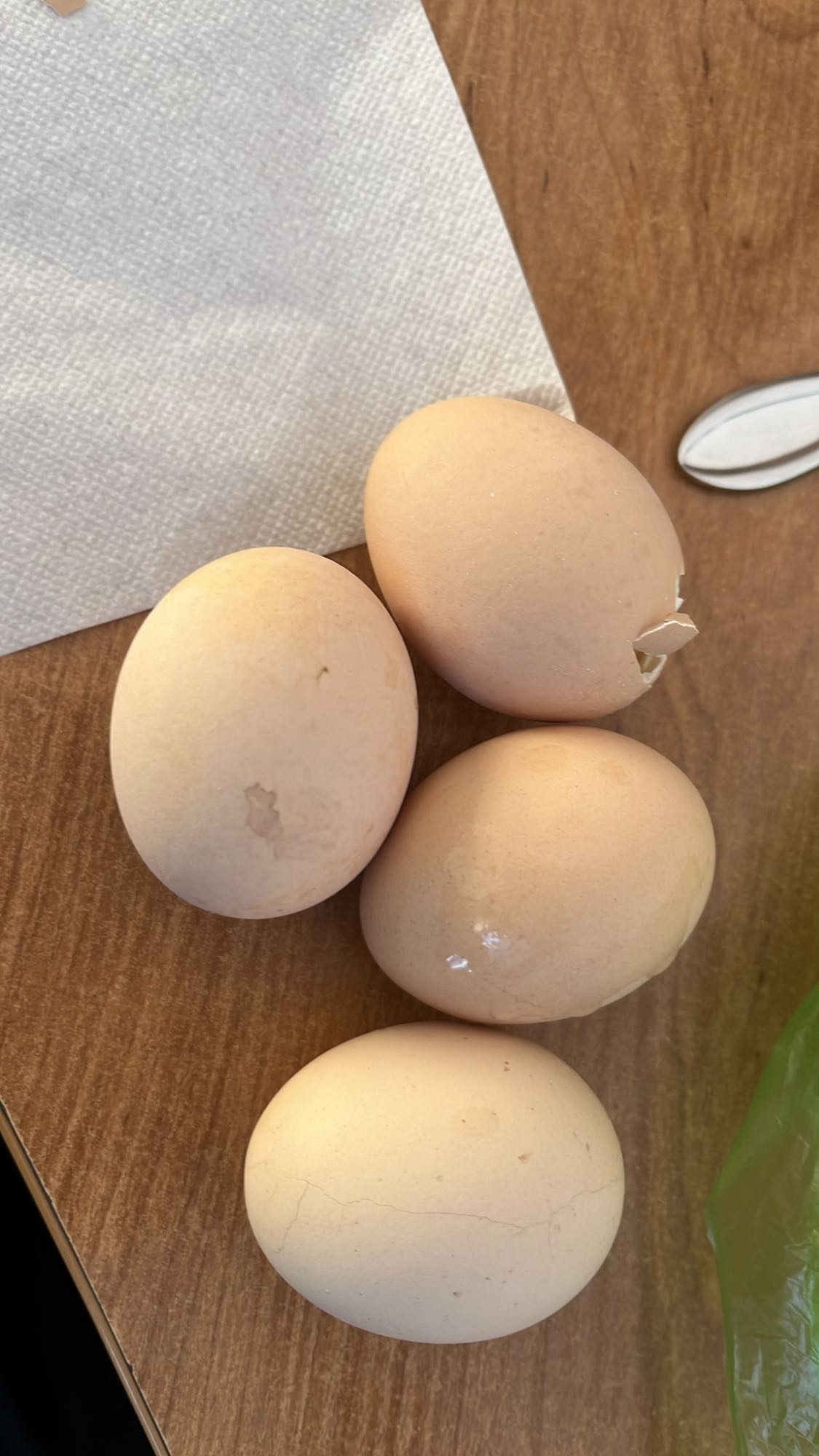 варёные яйца