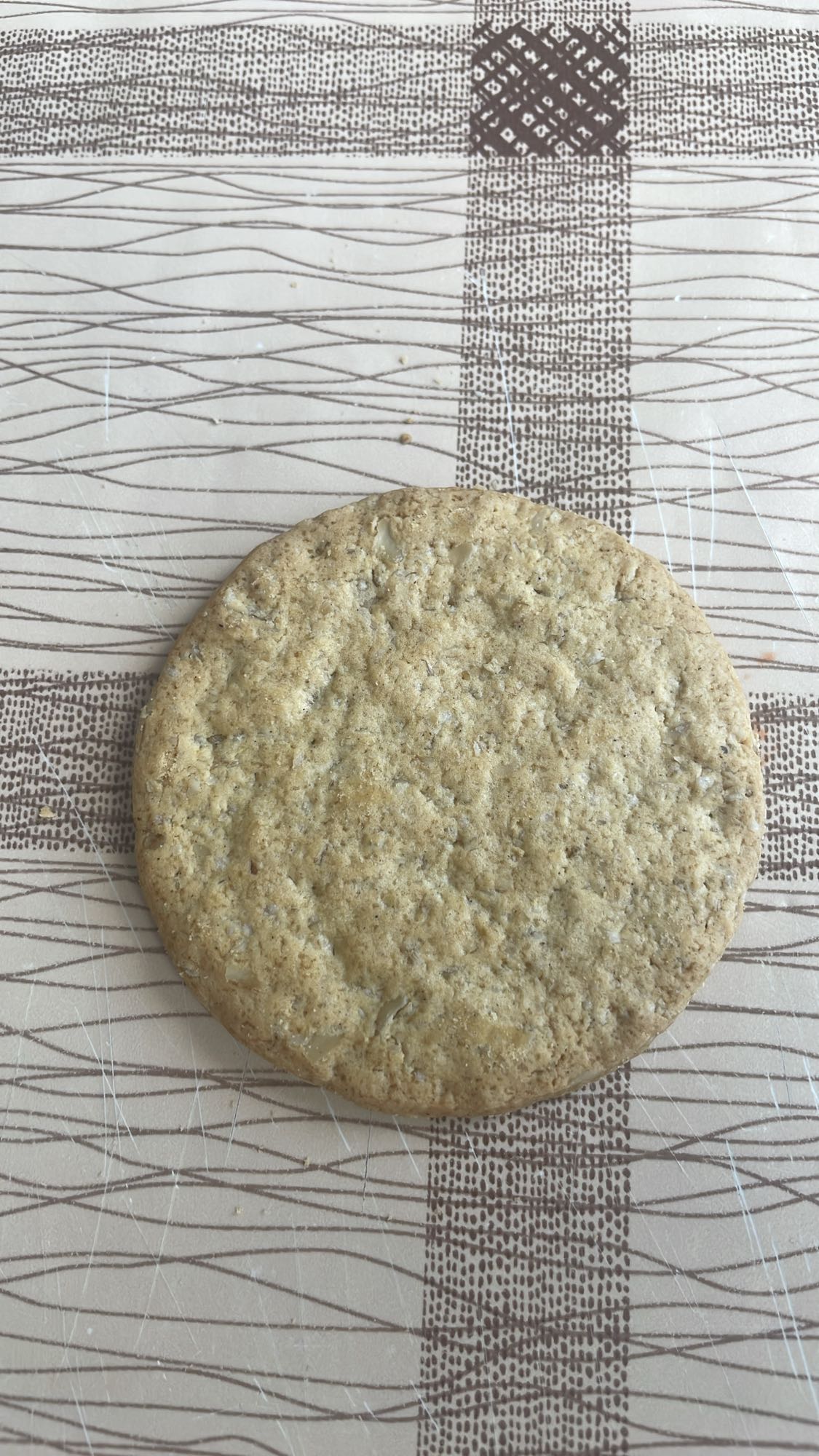 Oatmeal Cookie