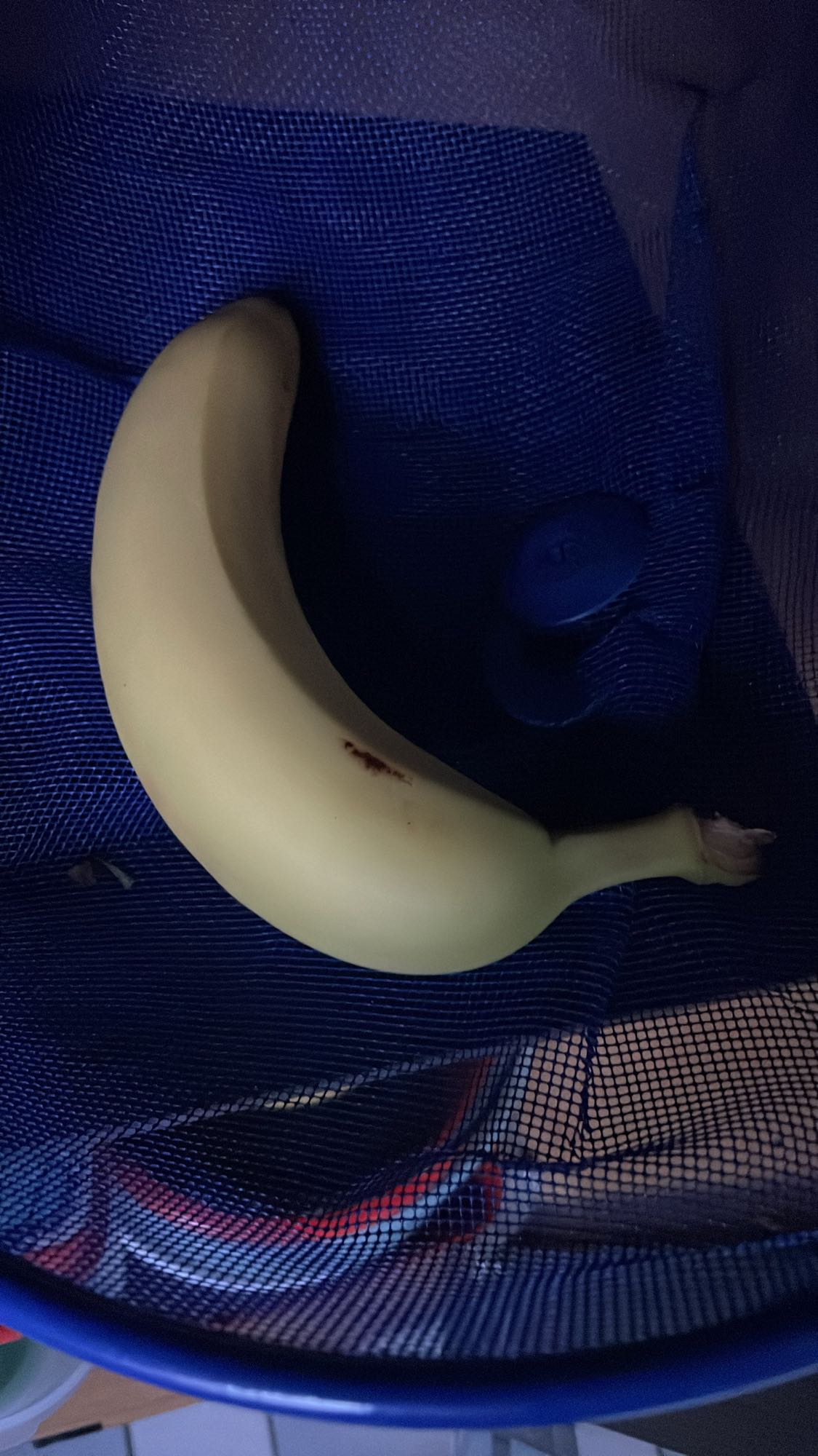 Banaan